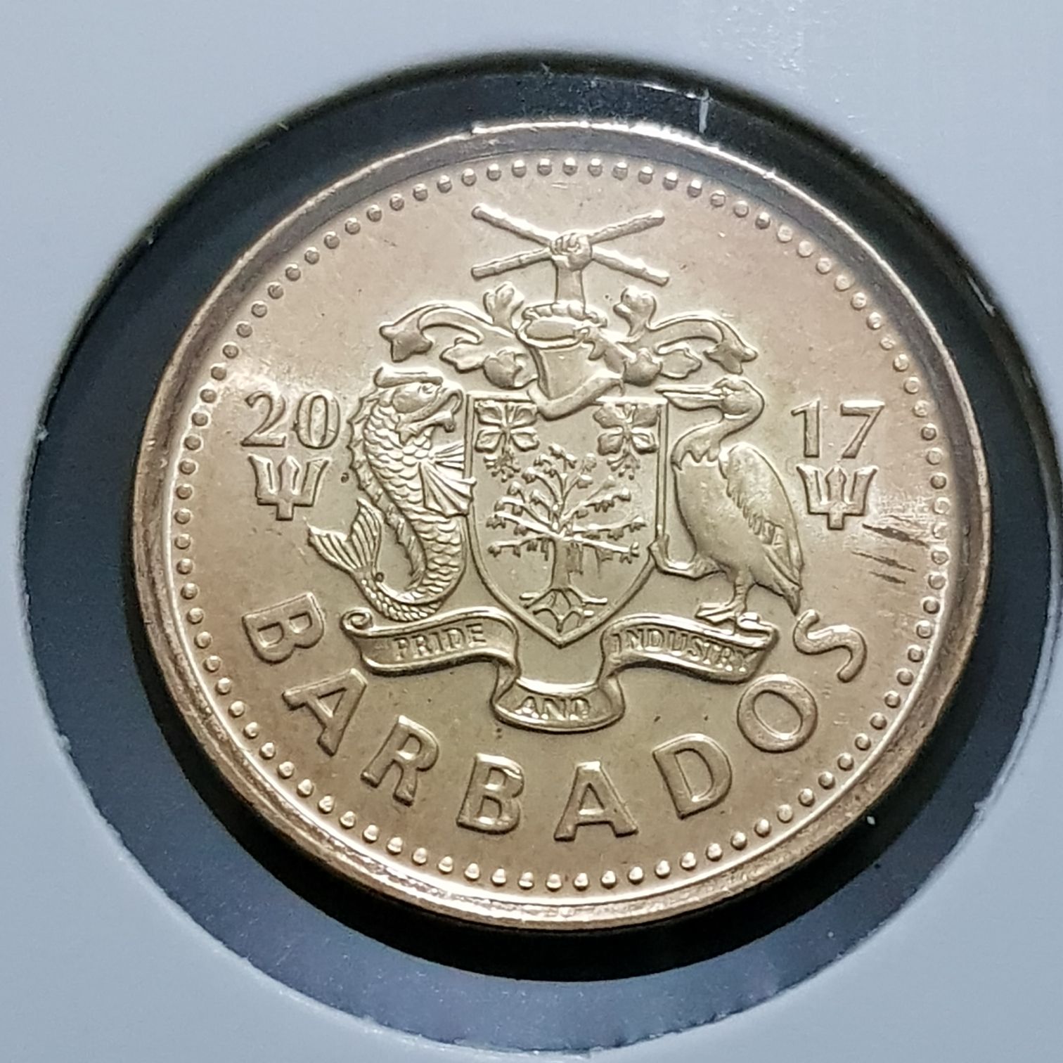 .05 Centavos  coin collectible - Main Image 2