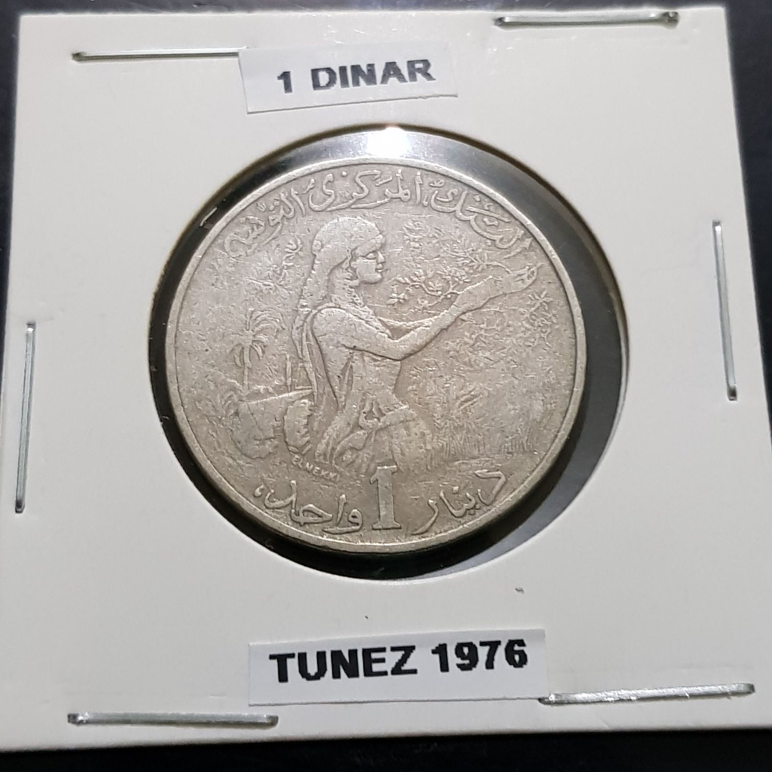 Canada 1.5oz Two Bears