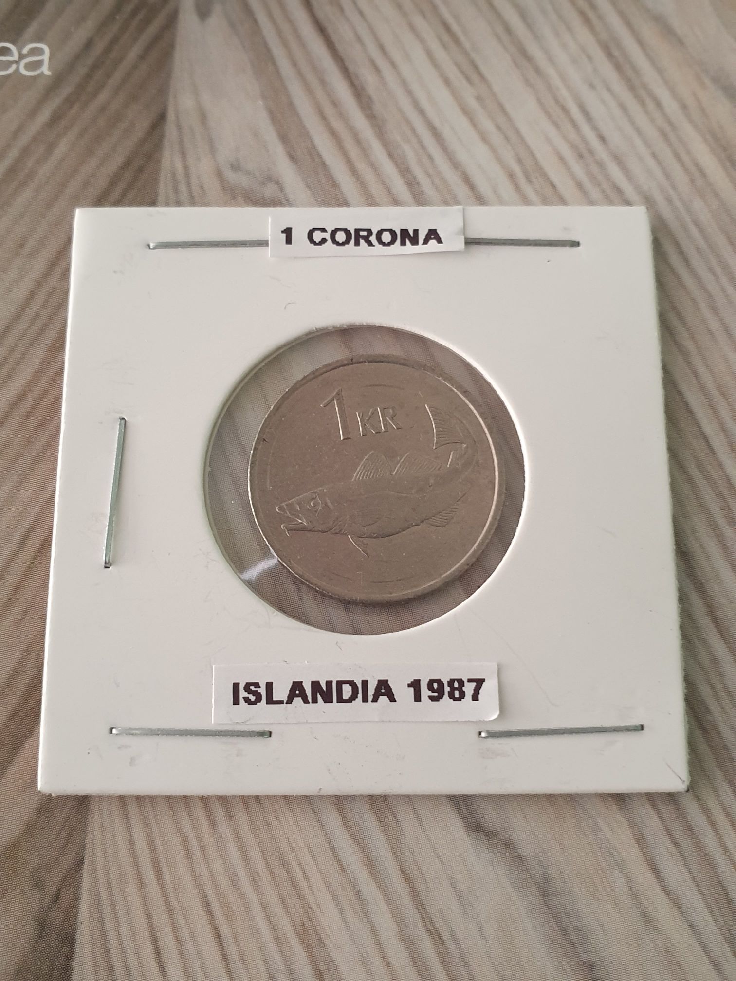 1 Dólar