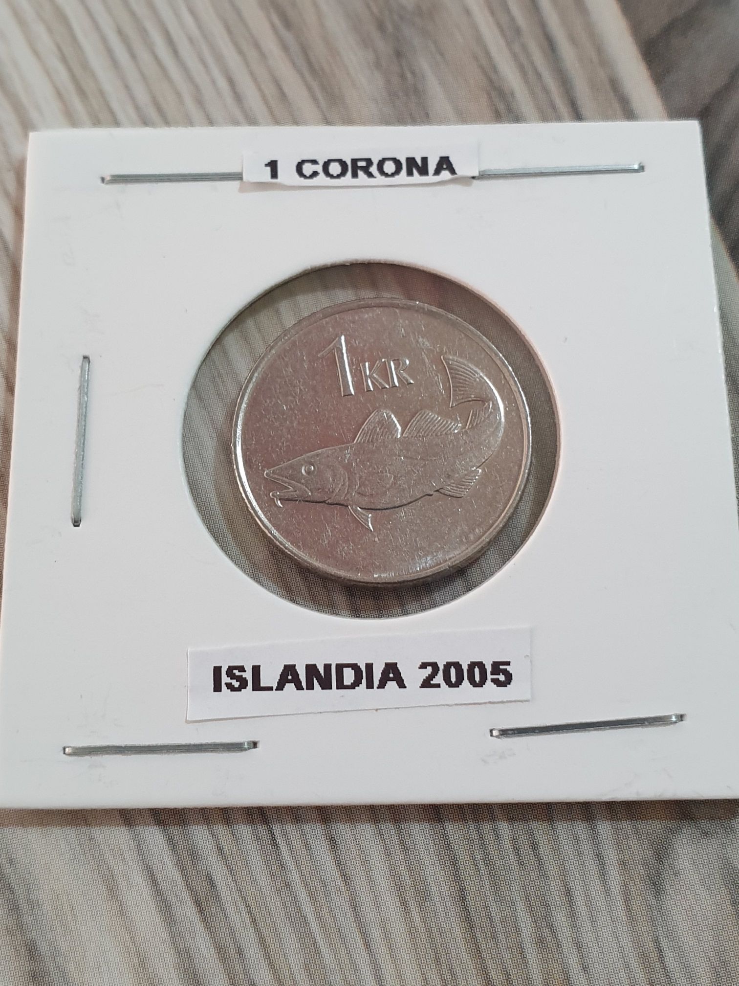 SS - Freedom Girl (2016)