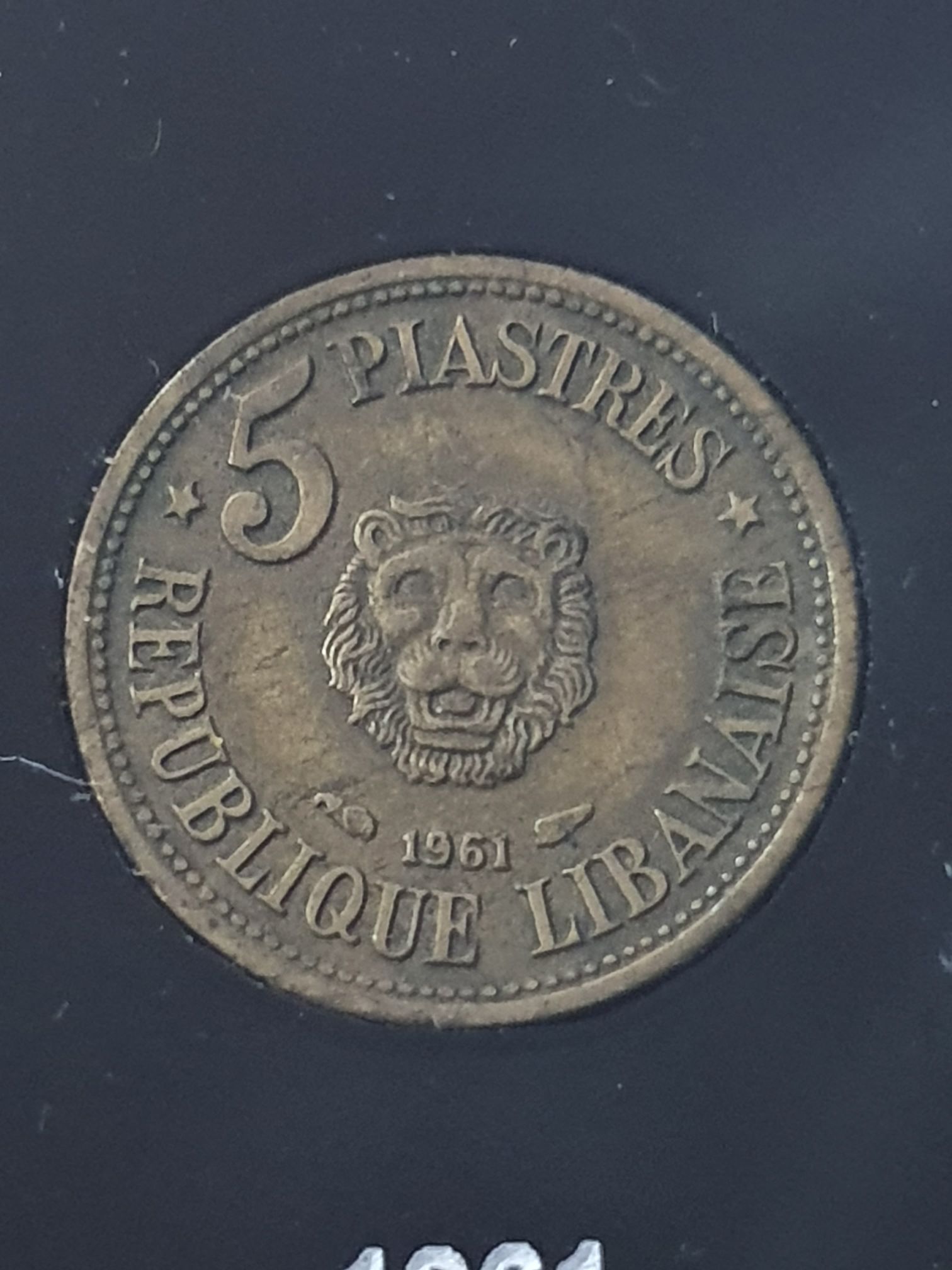 5 Dólares