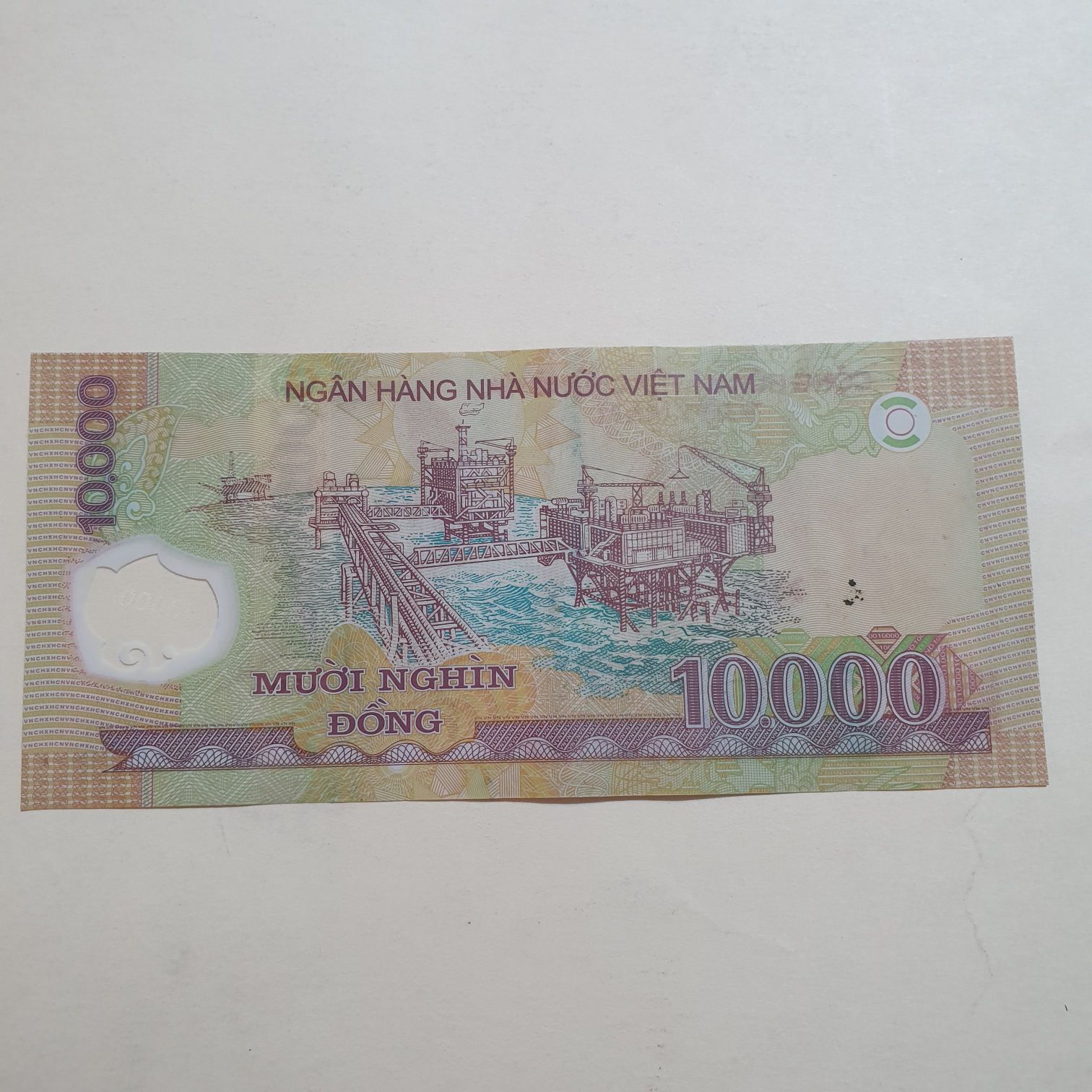 10000 Dong  coin collectible - Main Image 2