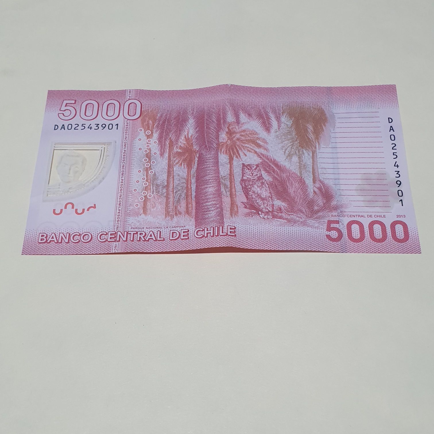 5000 Pesos  coin collectible - Main Image 2