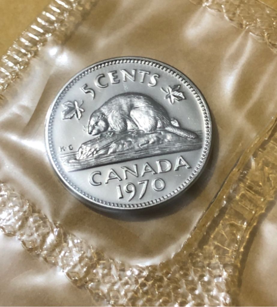 Canadian Silver Maple Leaf