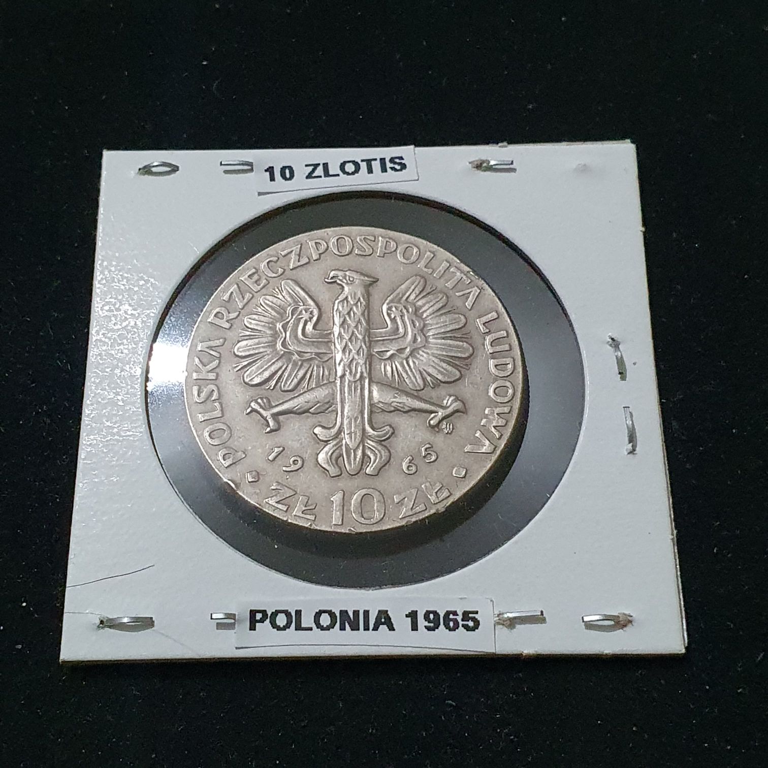 BCM - Wallstreetbets WSB