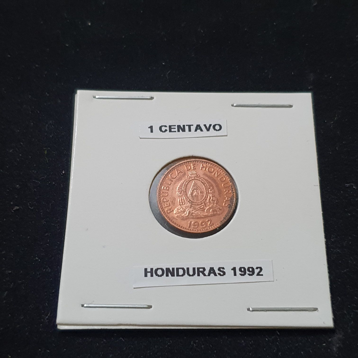 2021 White Greyhound Of Richmond