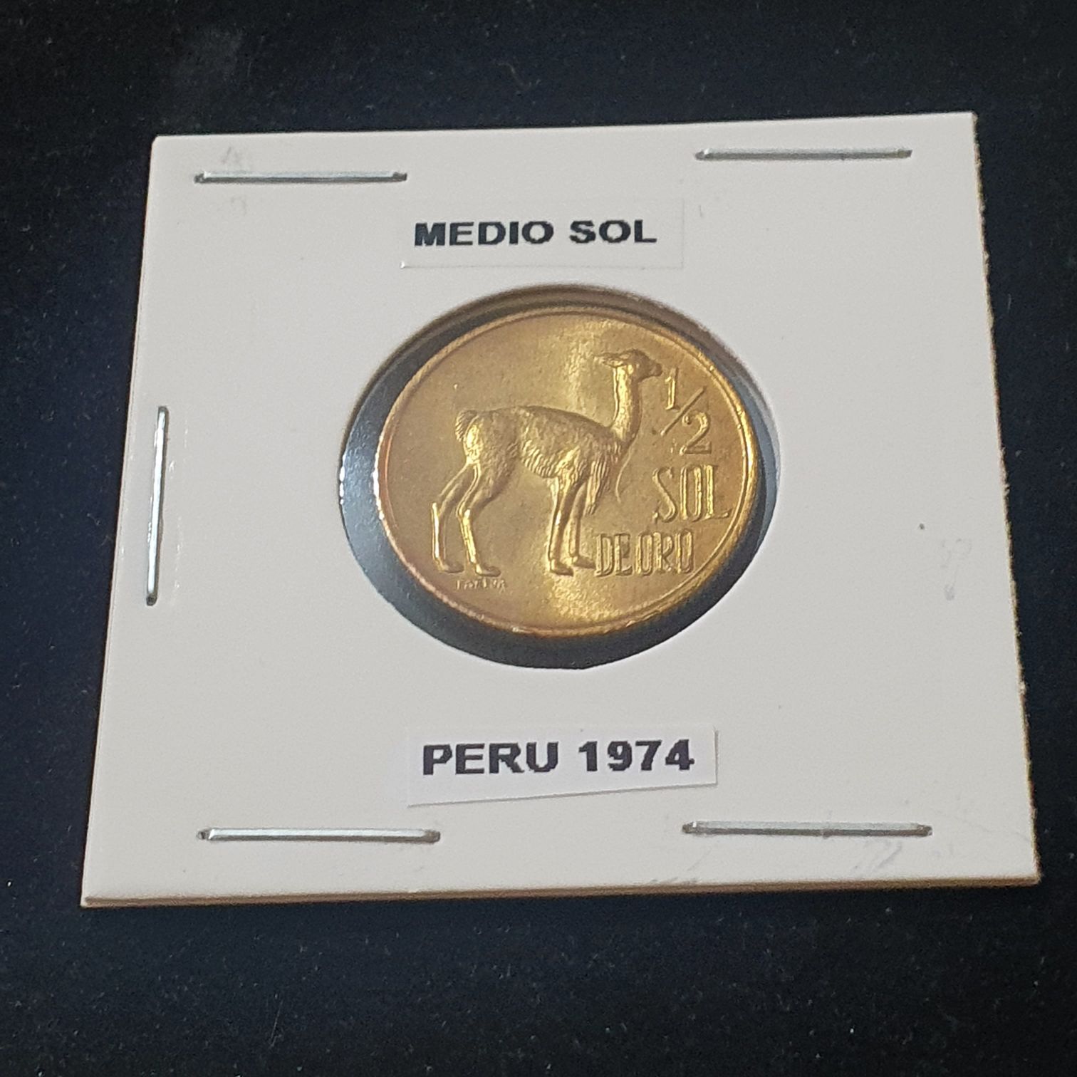 George Carver Half Dollar