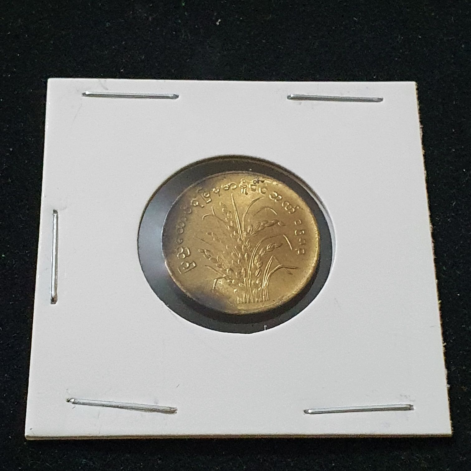 10 Pyas  coin collectible - Main Image 2