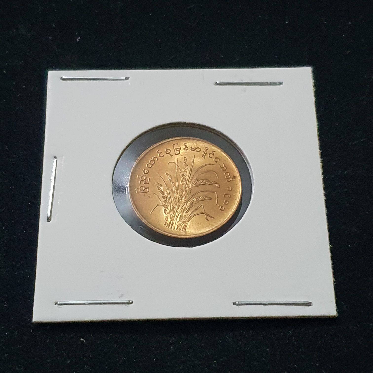 10 Pyas  coin collectible - Main Image 2