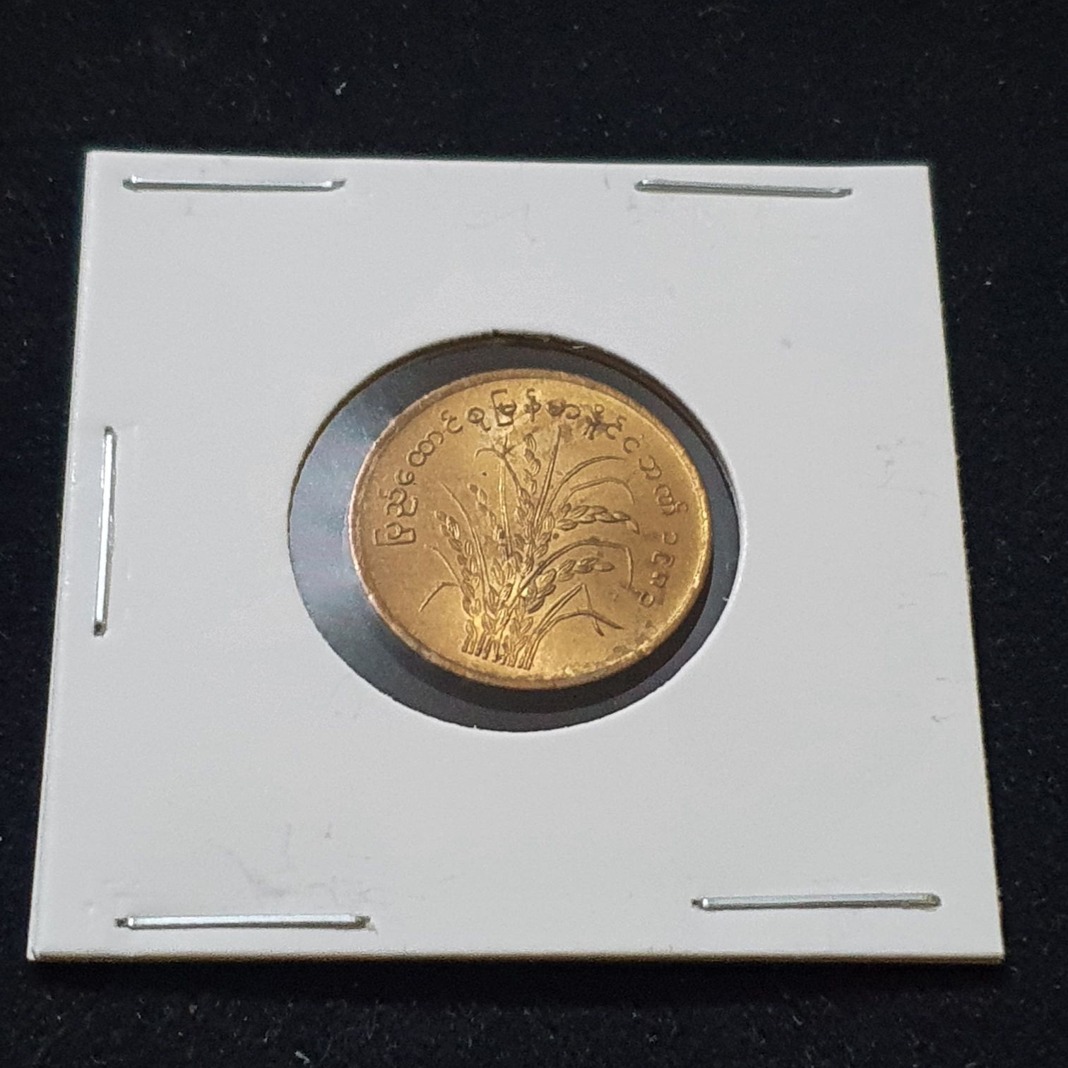 10 Pyas  coin collectible - Main Image 2