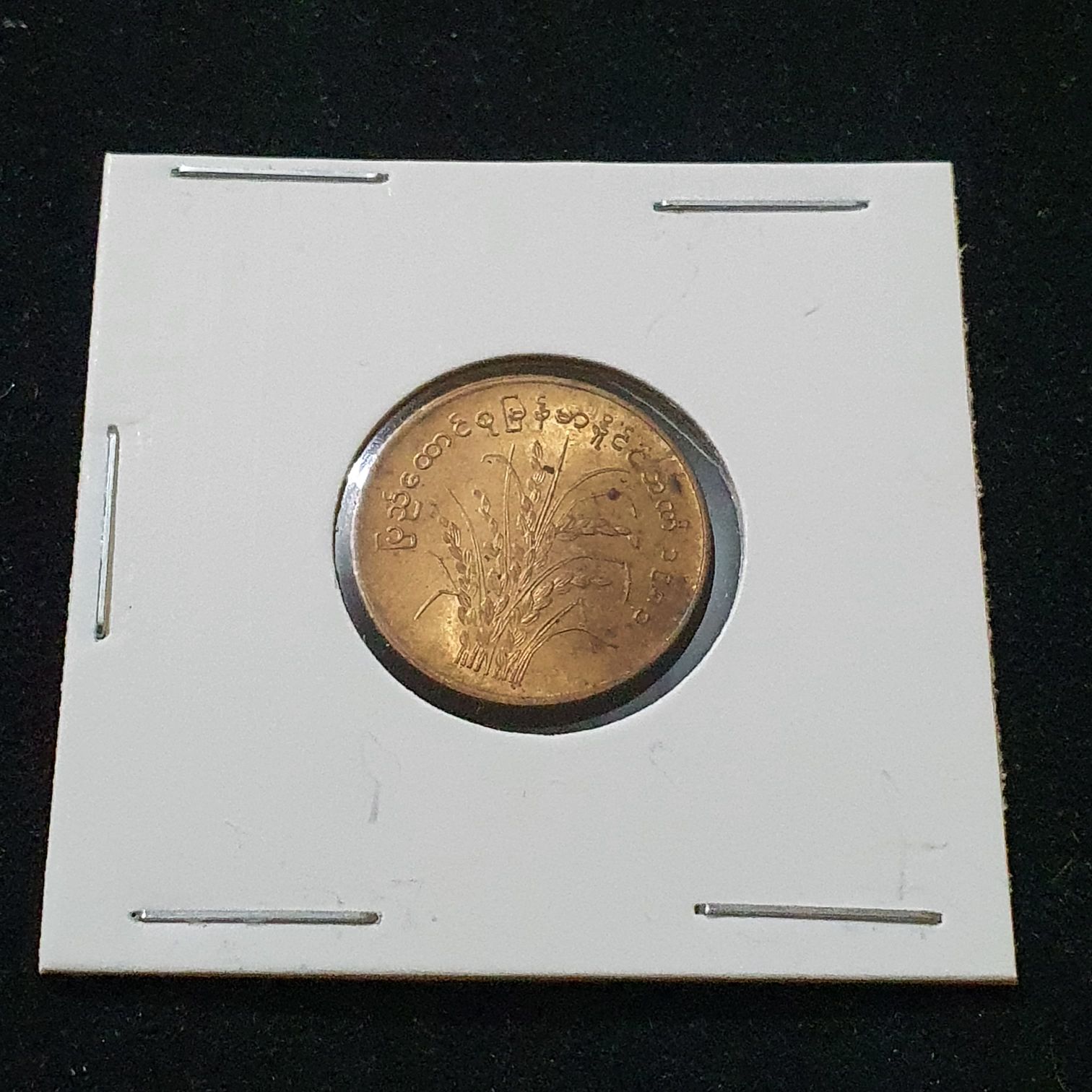 10 Pyas  coin collectible - Main Image 2