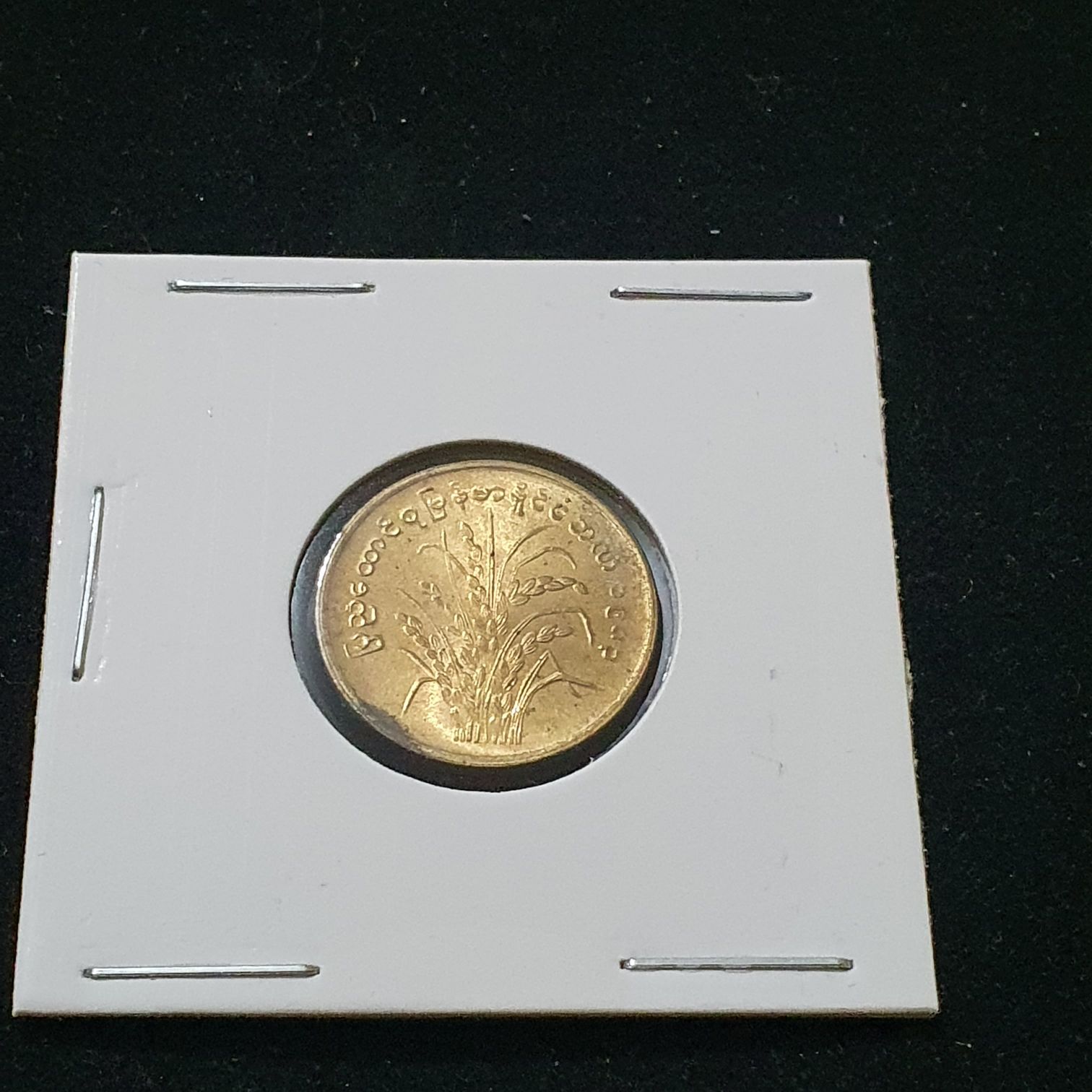 10 Pyas  coin collectible - Main Image 2