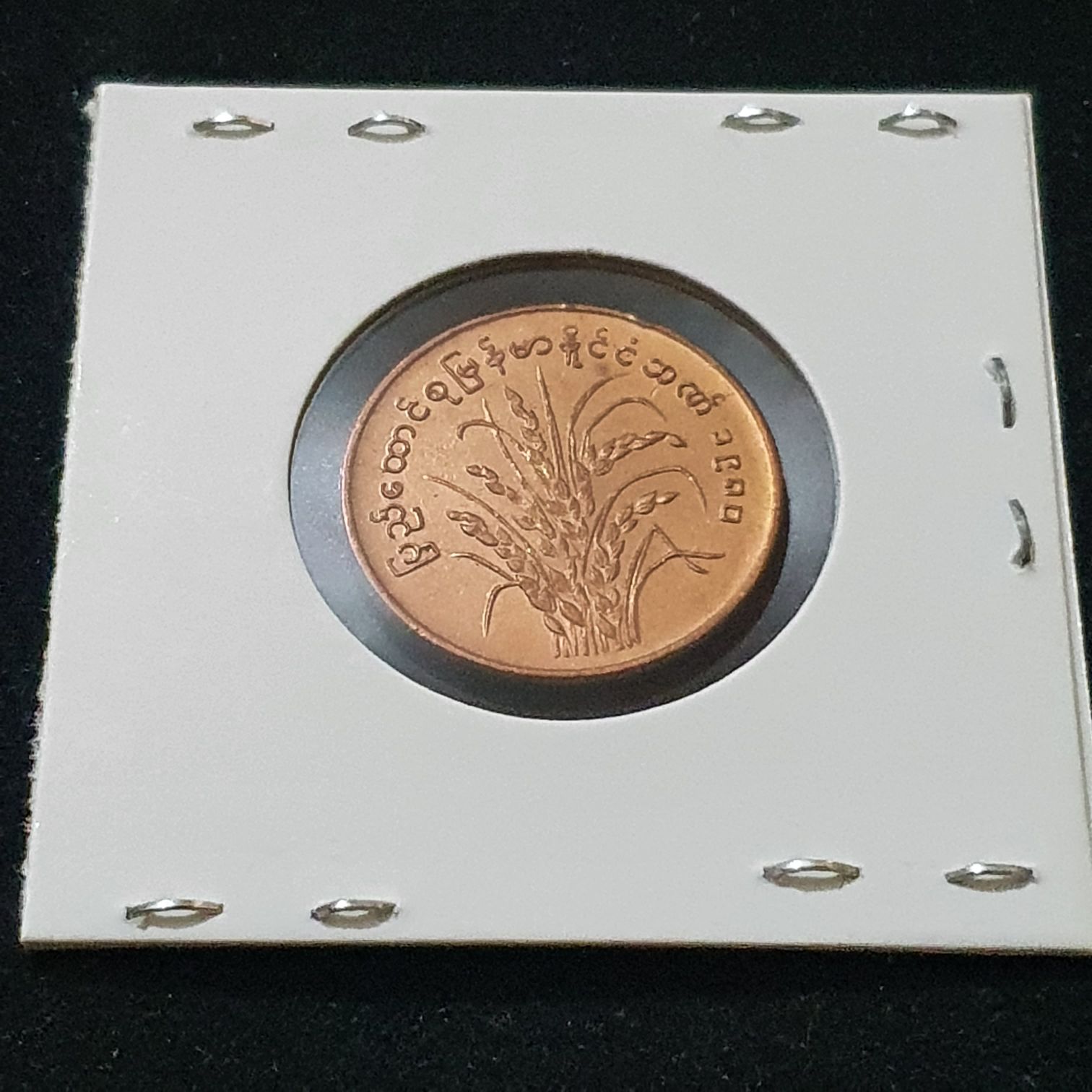 25 Pyas  coin collectible - Main Image 2