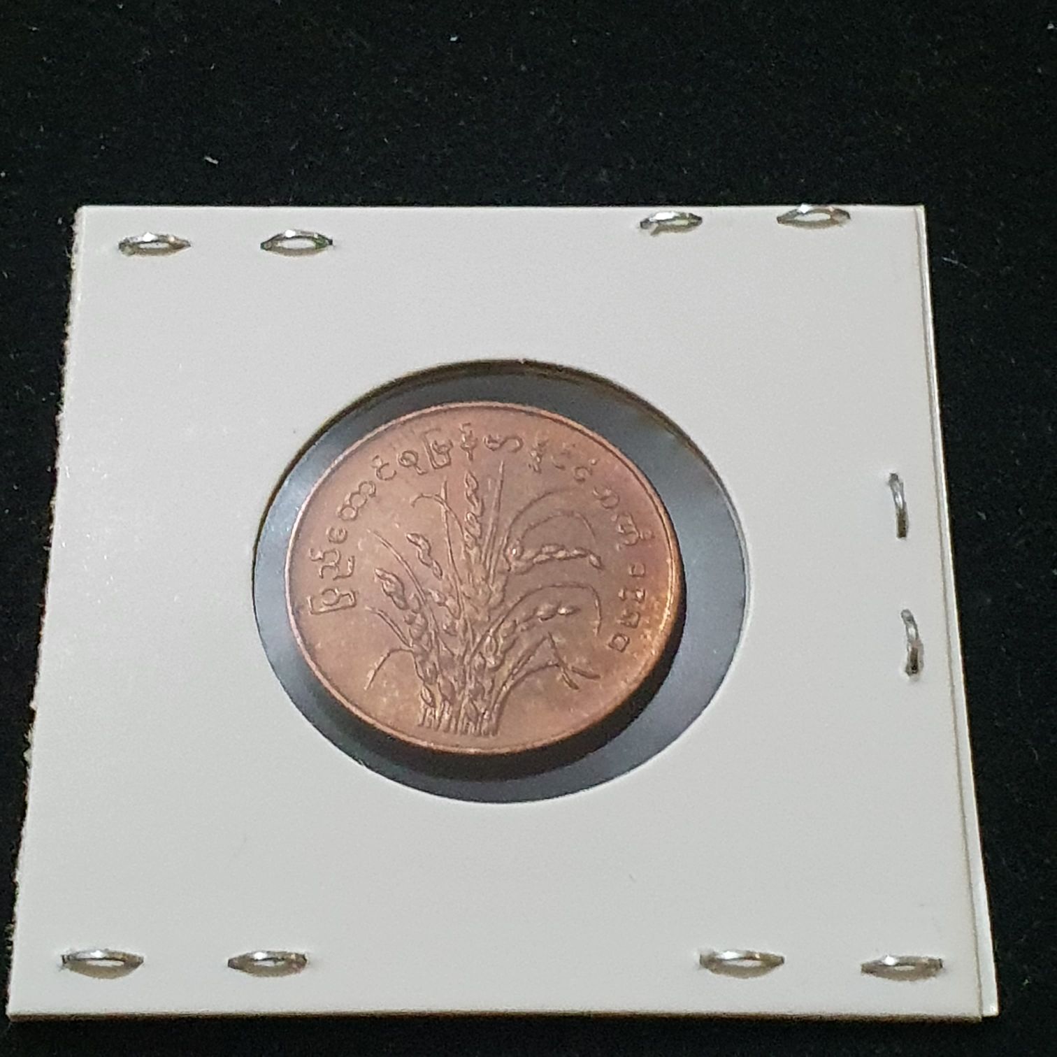 25 Pyas  coin collectible - Main Image 2