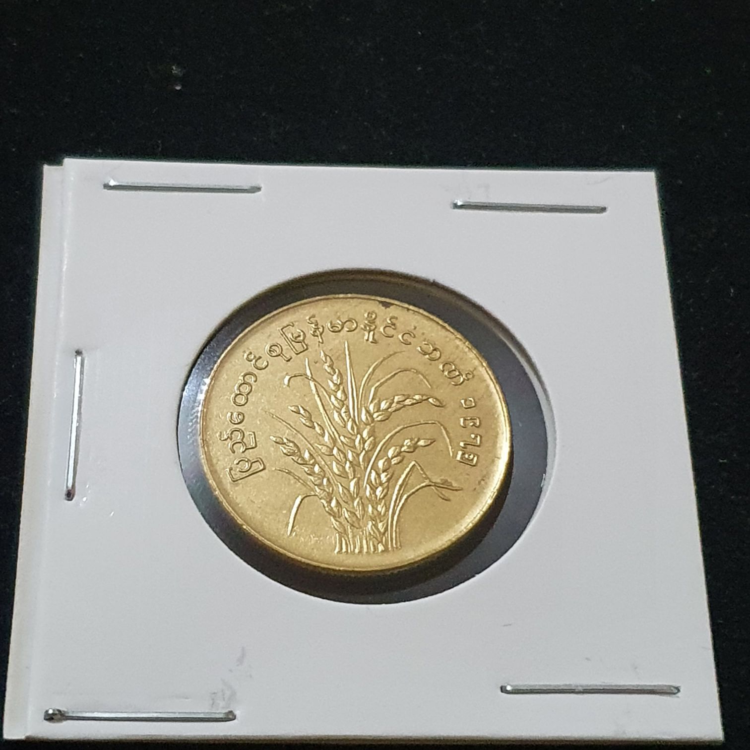 50 Pyas  coin collectible - Main Image 2