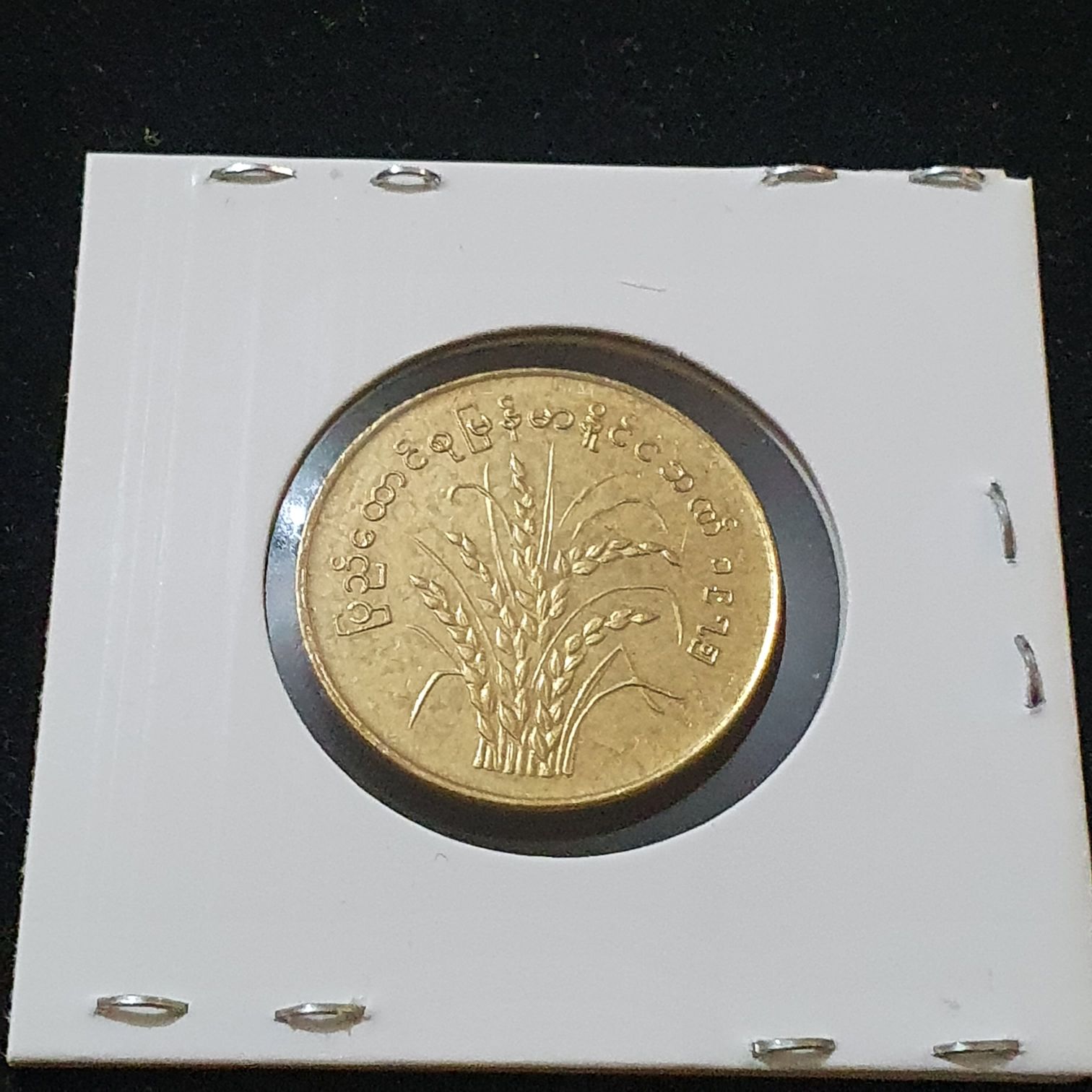 50 Pyas  coin collectible - Main Image 2