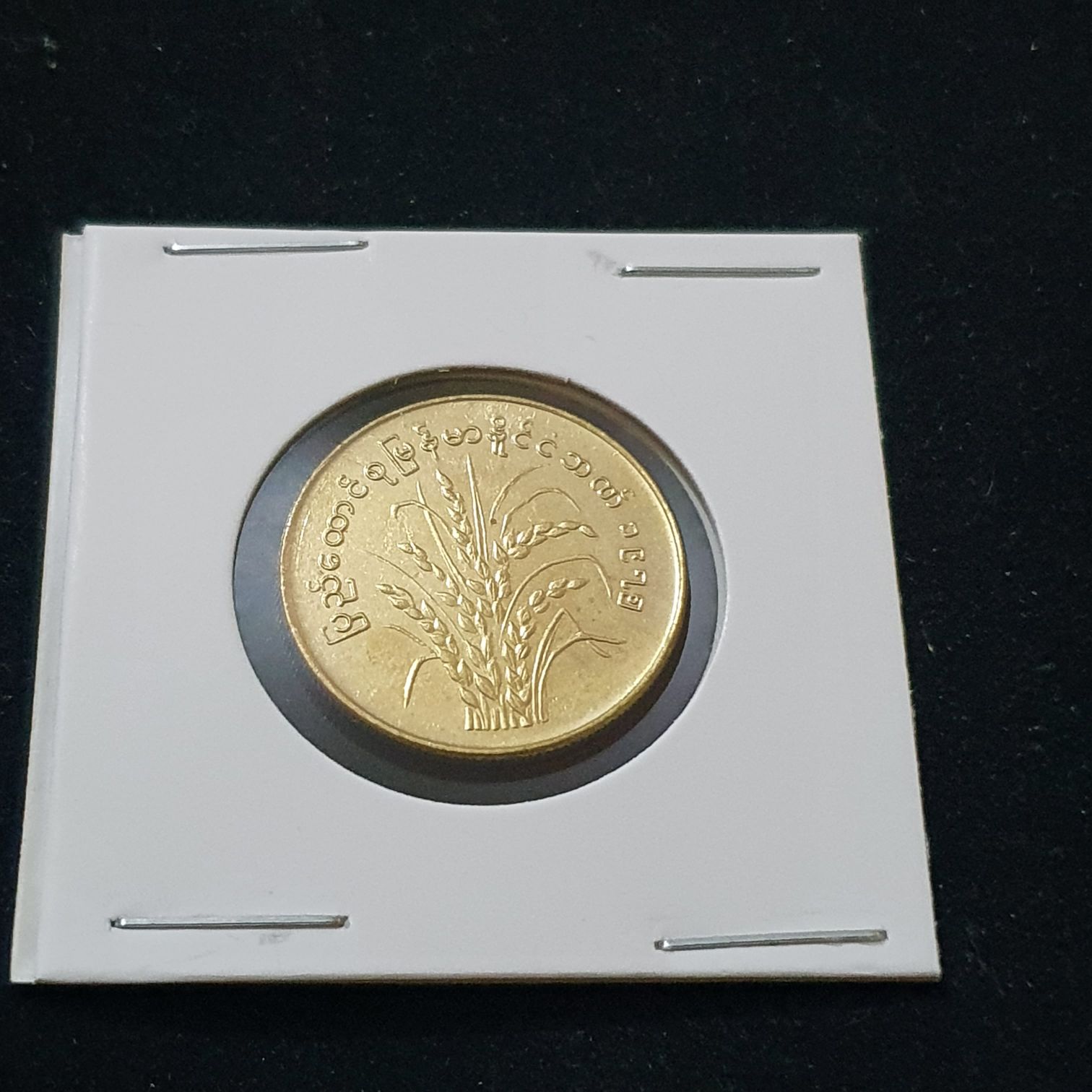 50 Pyas  coin collectible - Main Image 2