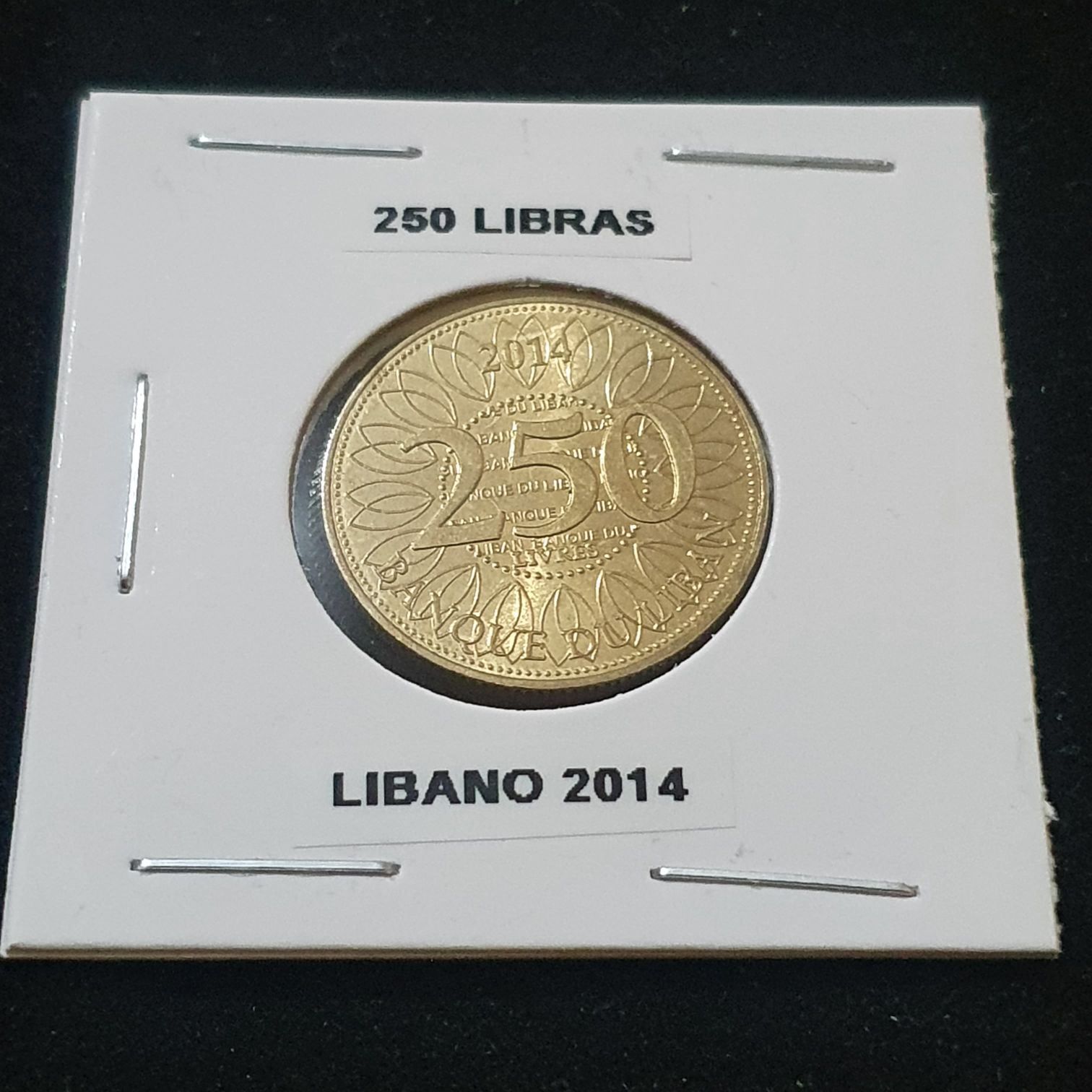 250 Libras  coin collectible - Main Image 1