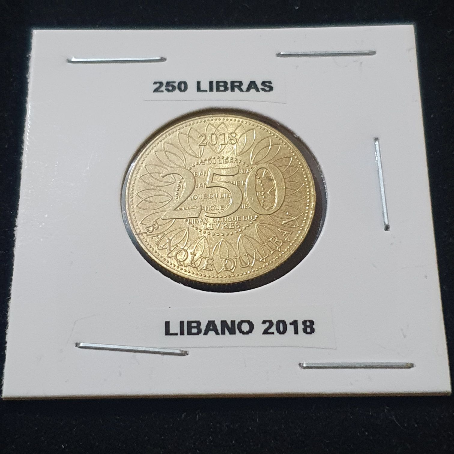 PM - Temptation of the Succubus