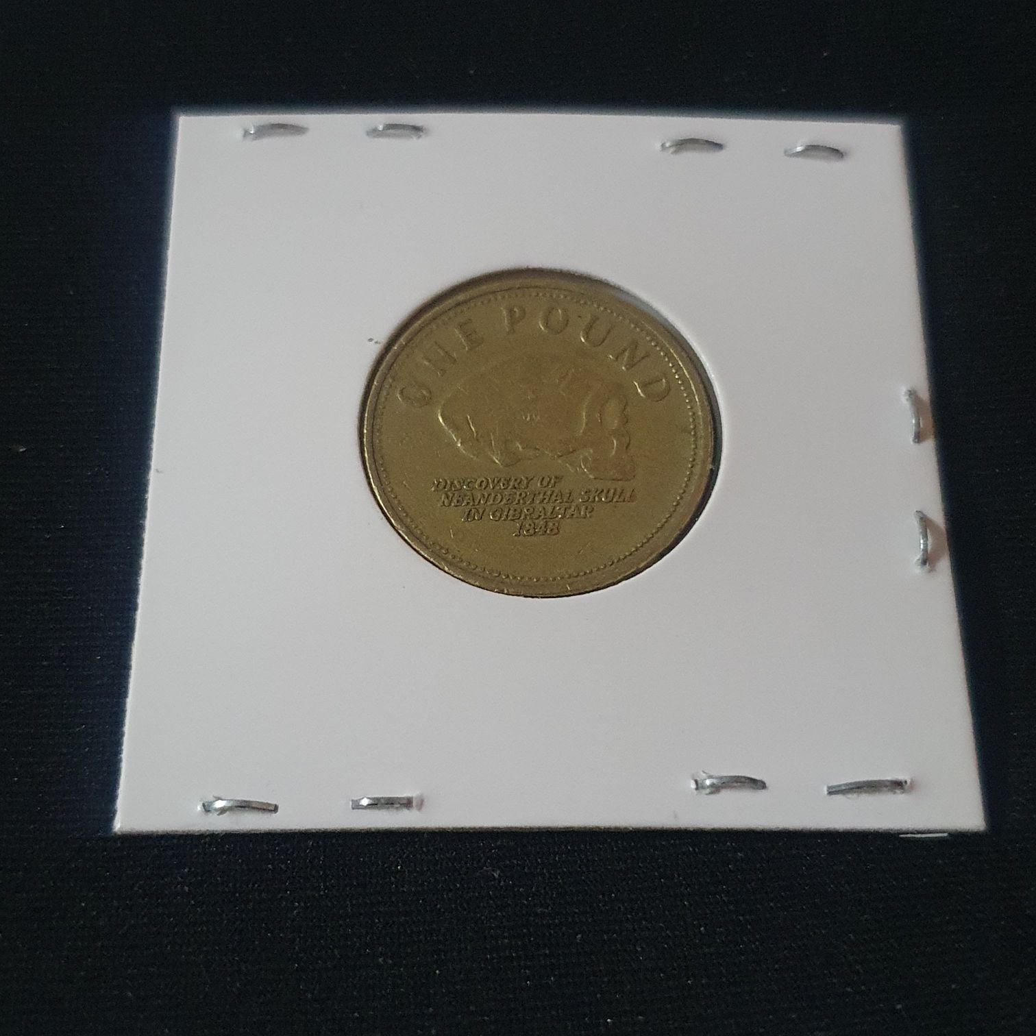1 Libra  coin collectible - Main Image 2