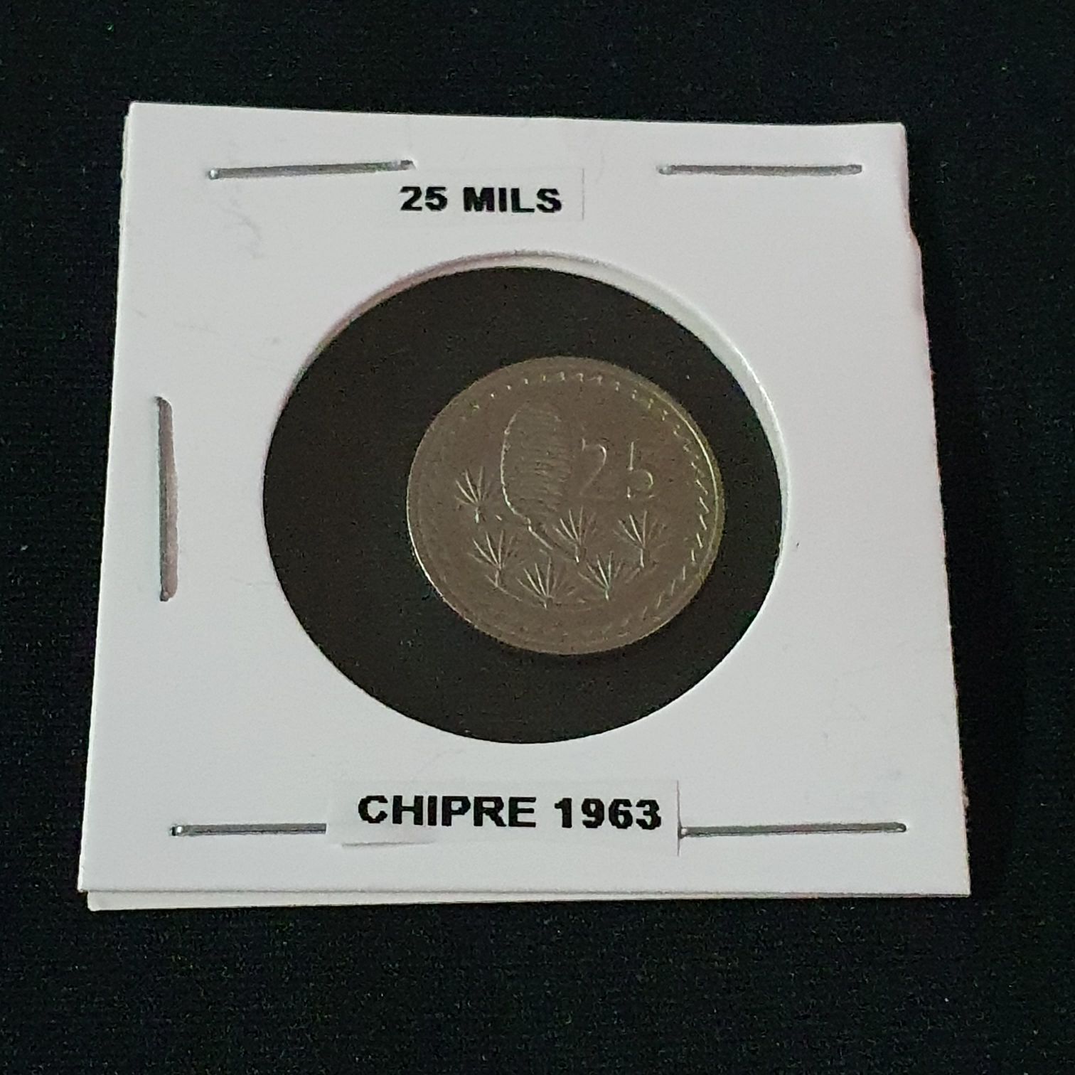 Disneyland Resort Paris