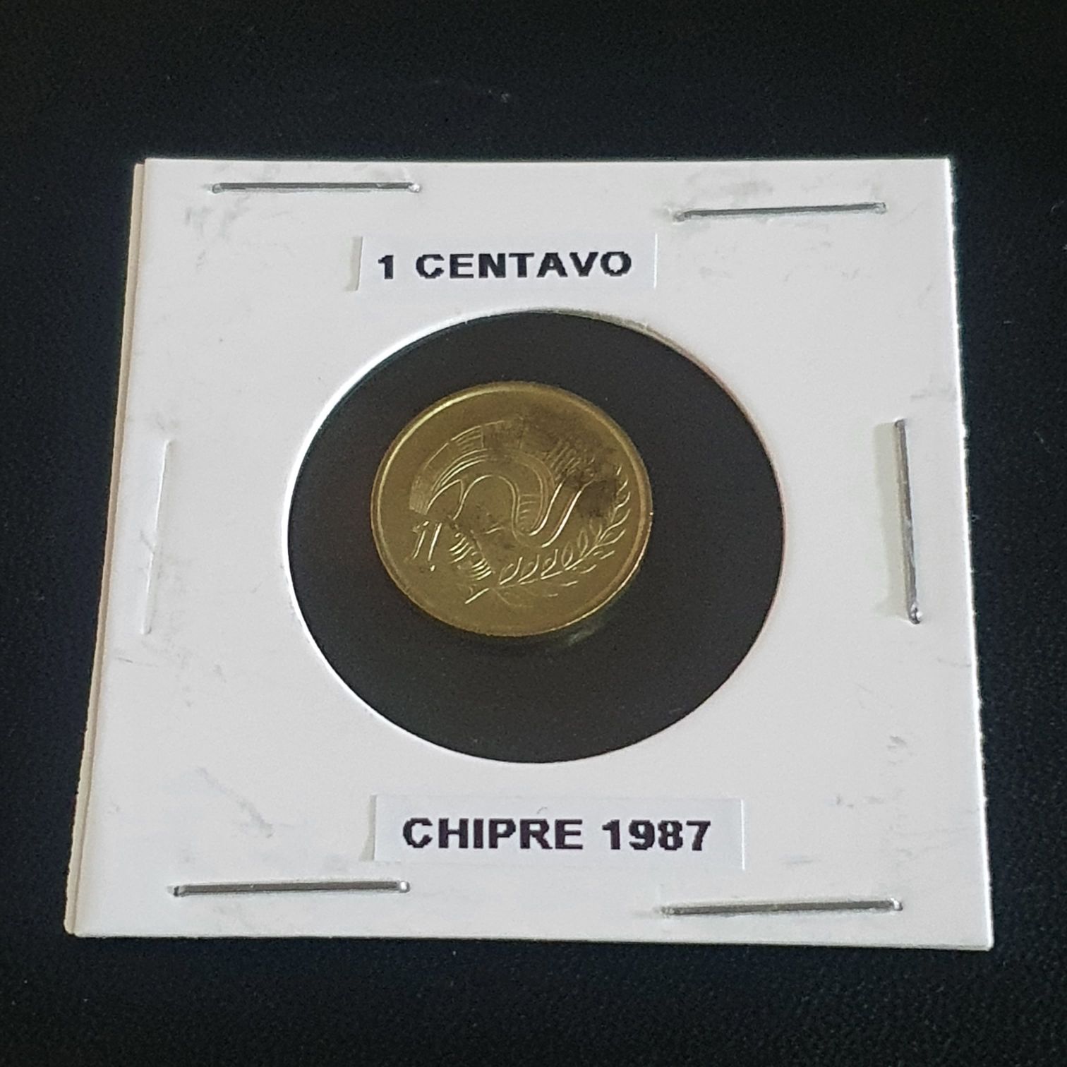 SS - New Years Edition