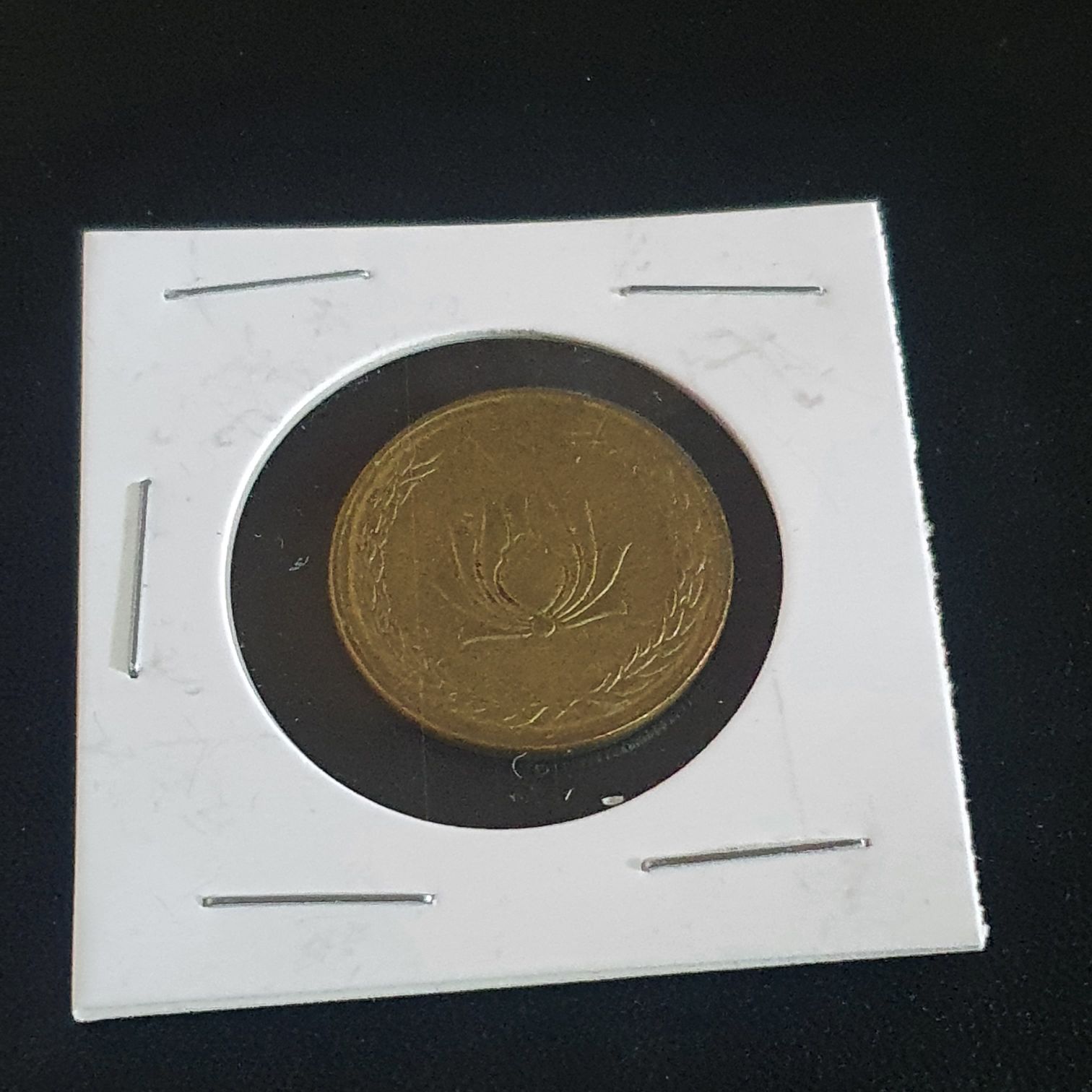 250 Rials  coin collectible - Main Image 2