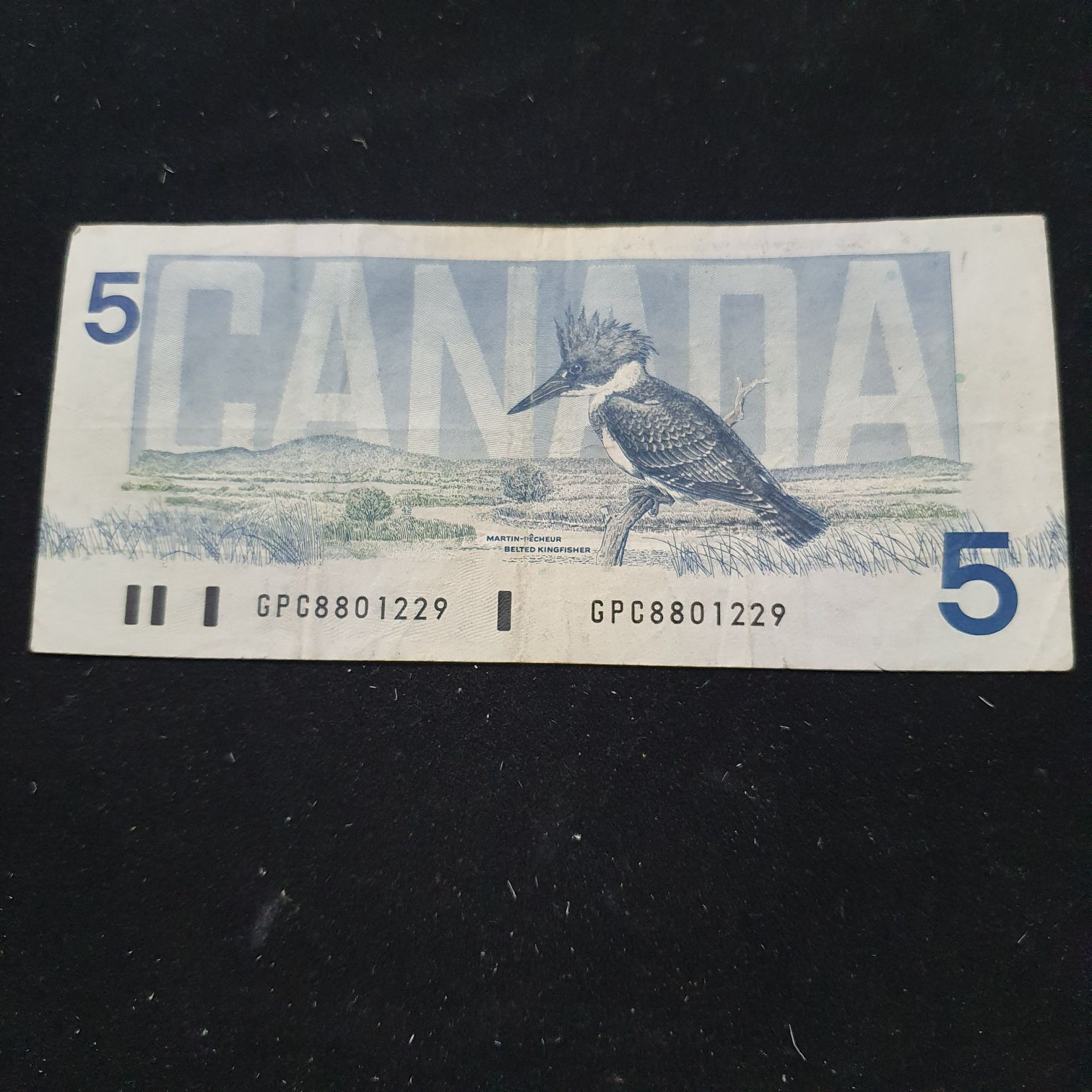 5 Dolares  coin collectible - Main Image 2