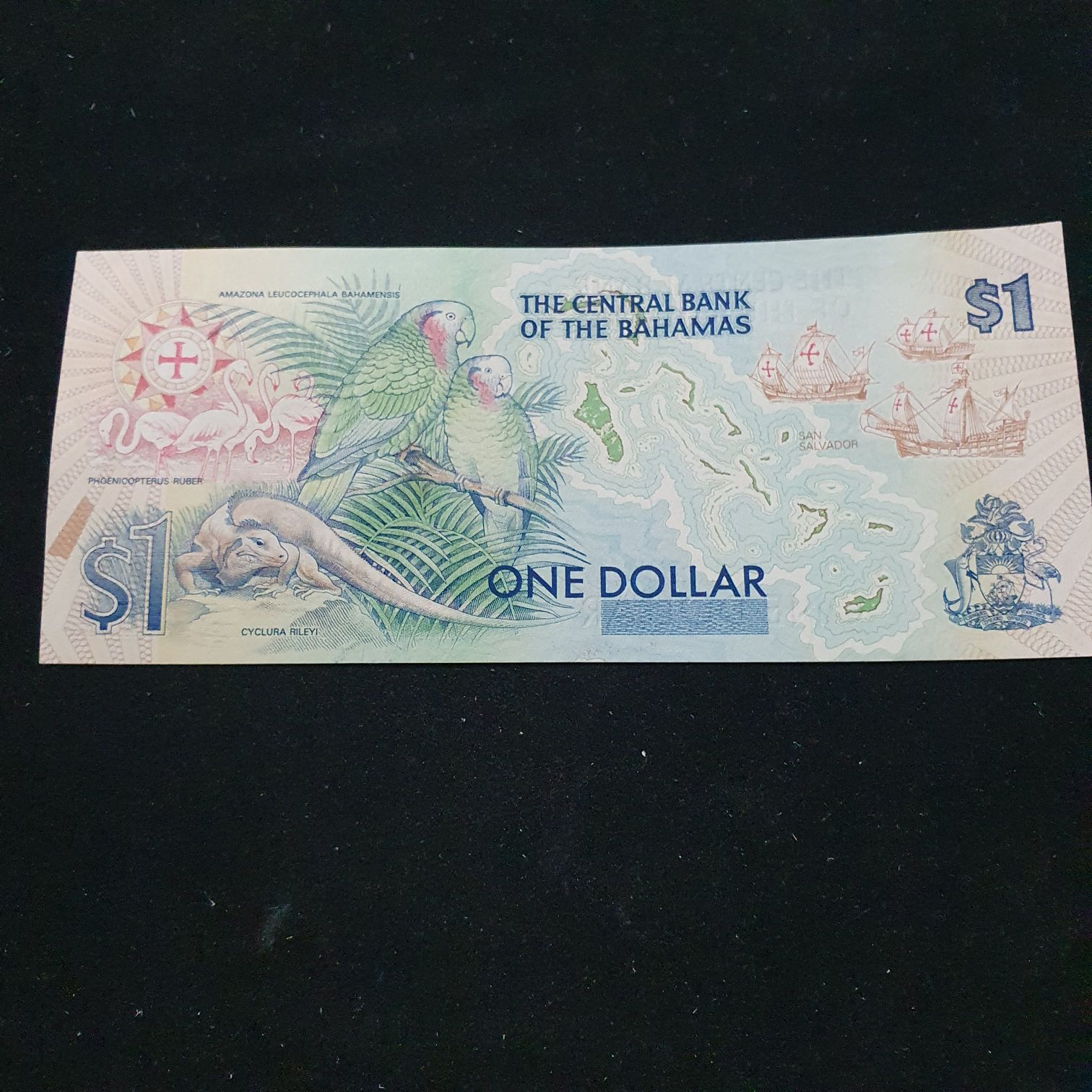 One Dollar  coin collectible - Main Image 2