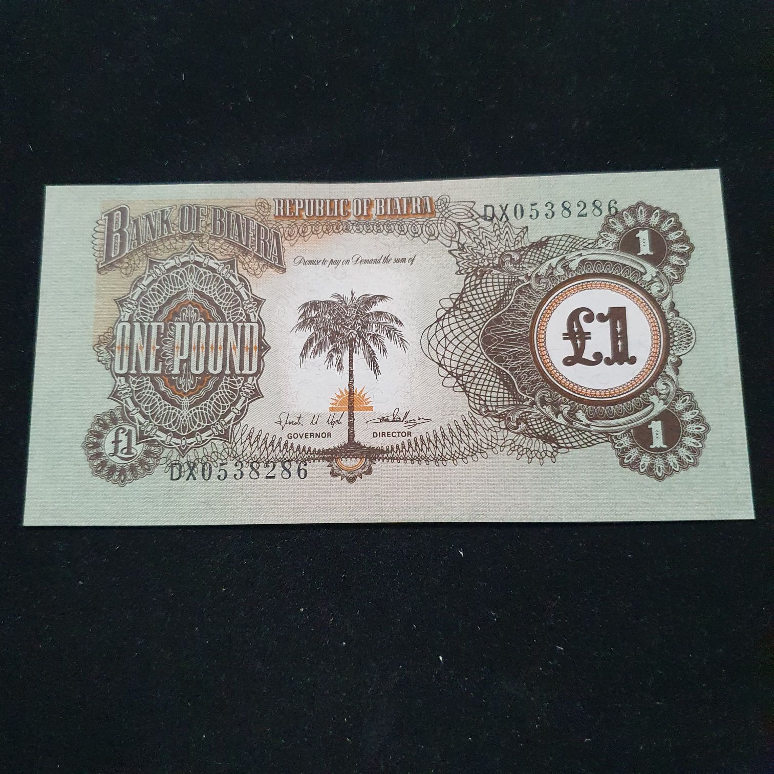 One Pound  coin collectible - Main Image 2