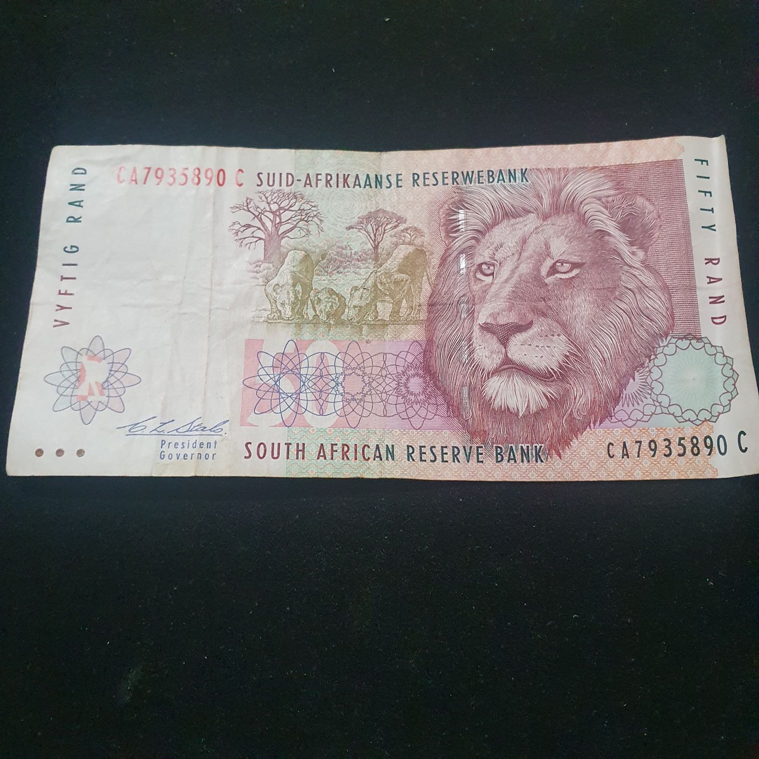 2011 CN Year of The Rabbit