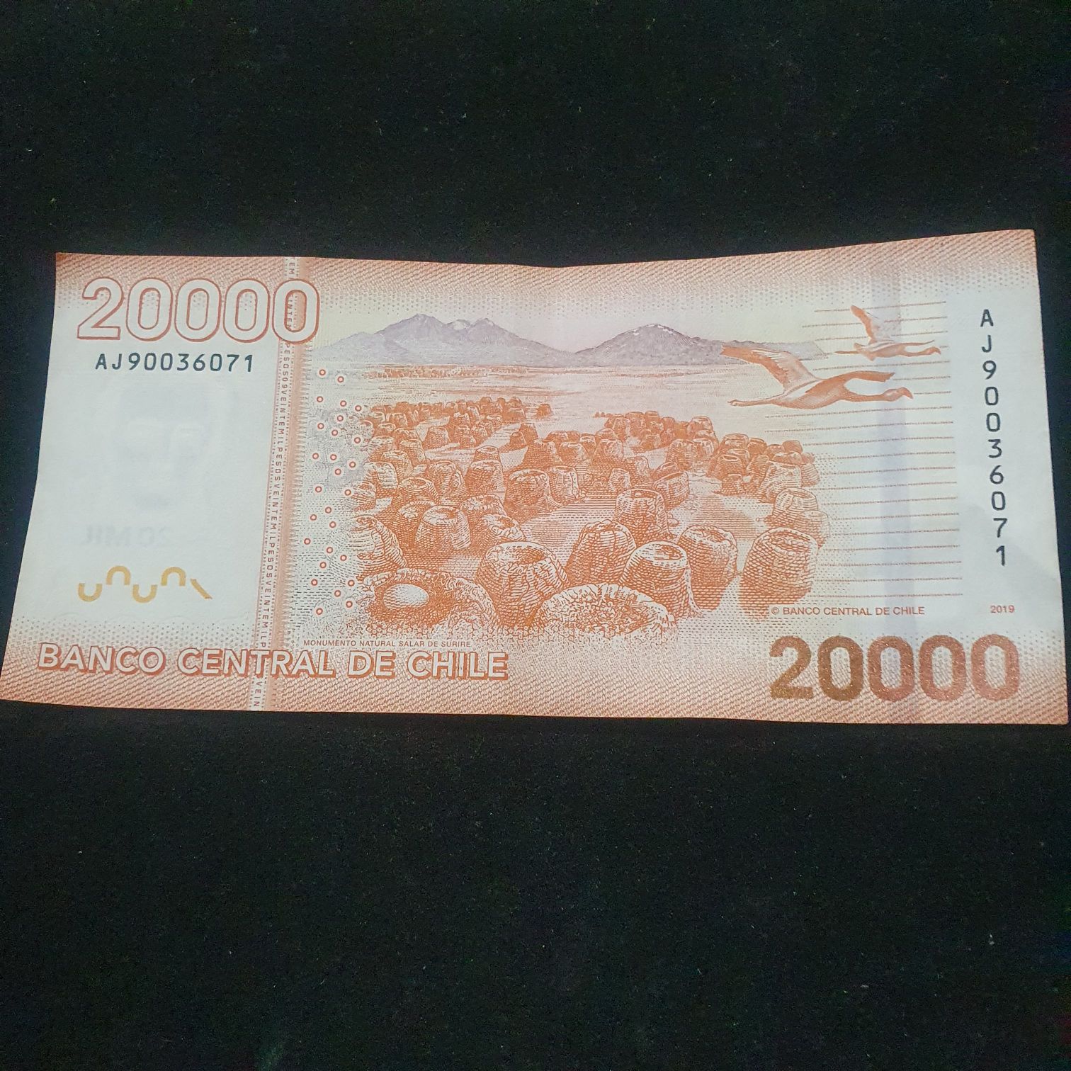 20000 Pesos  coin collectible - Main Image 2