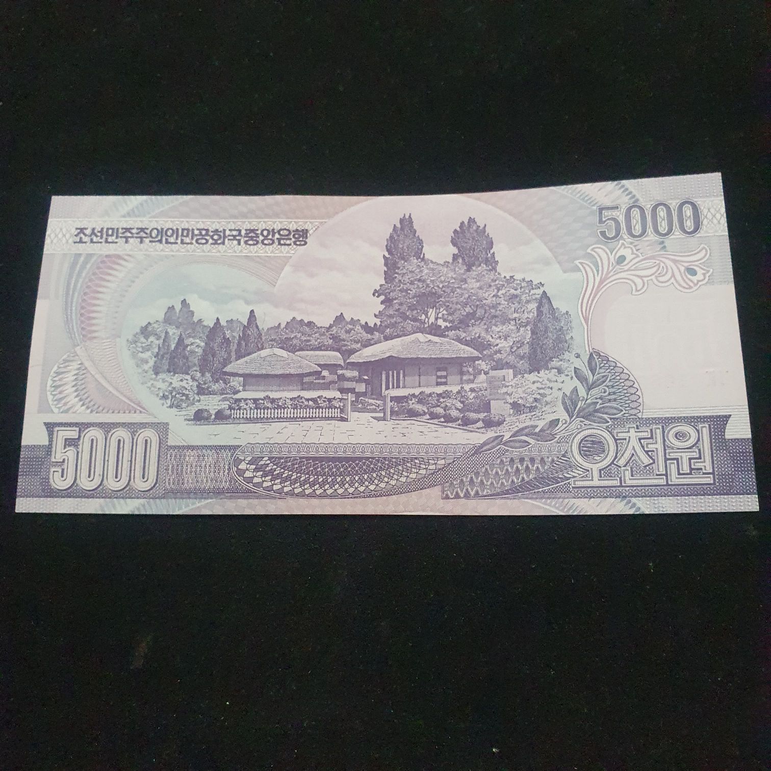 5000 Won  coin collectible - Main Image 2