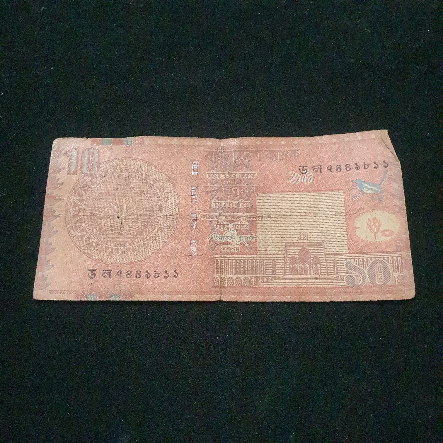 SS - Trivium Girls - BU