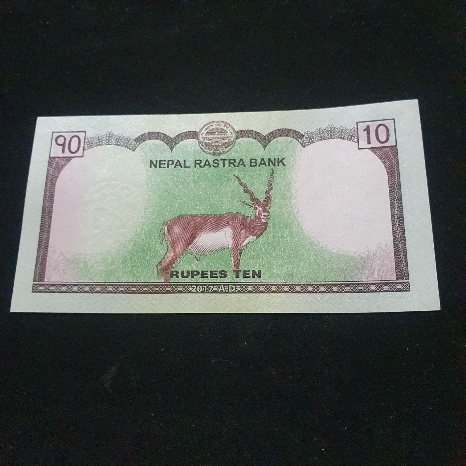 10 Rupees  coin collectible - Main Image 2