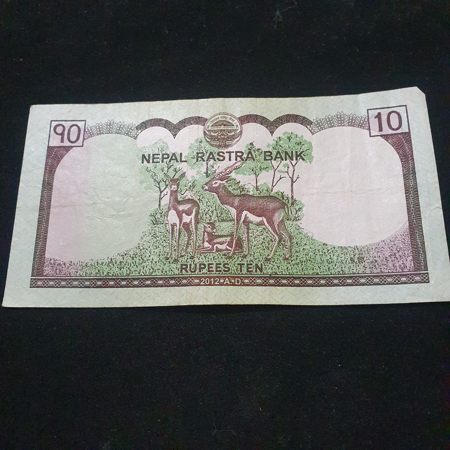 10 Rupees  coin collectible - Main Image 2