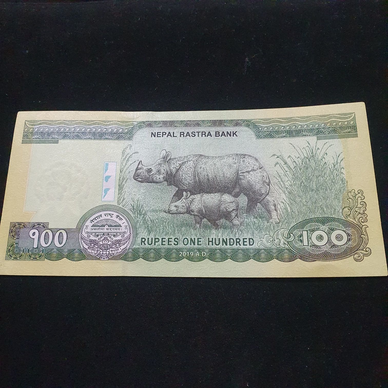 100 Rupees  coin collectible - Main Image 2