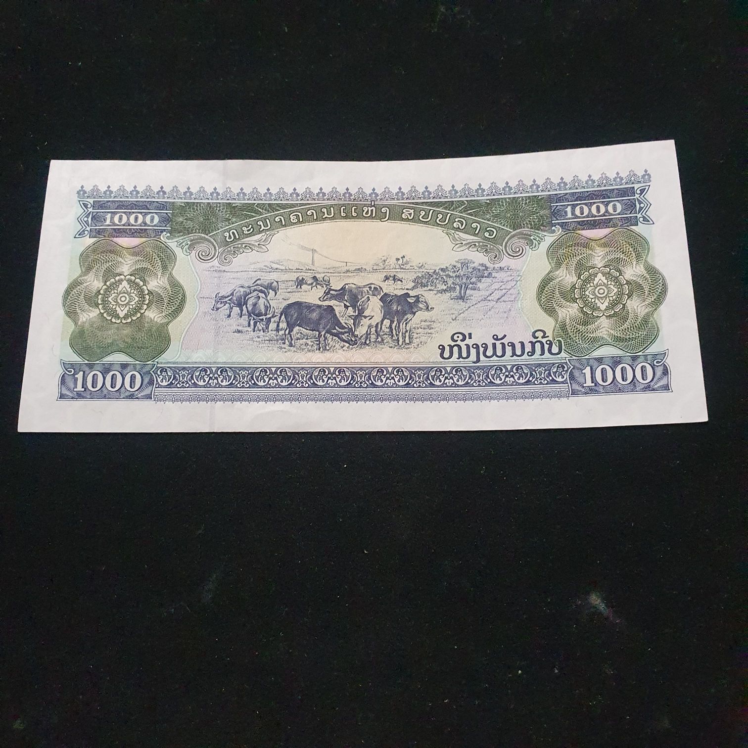 1000 Kip  coin collectible - Main Image 2