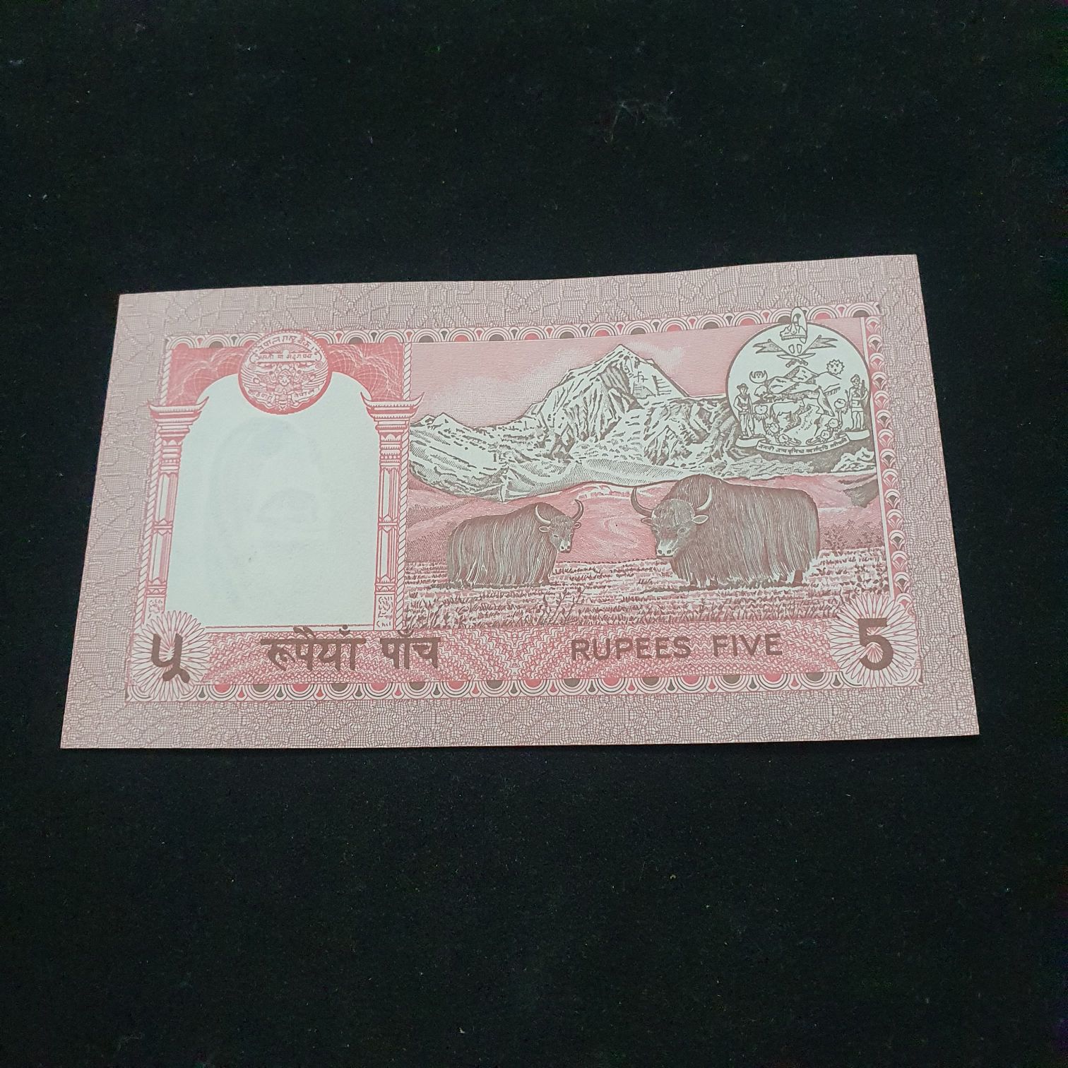 5 Rupees  coin collectible - Main Image 2