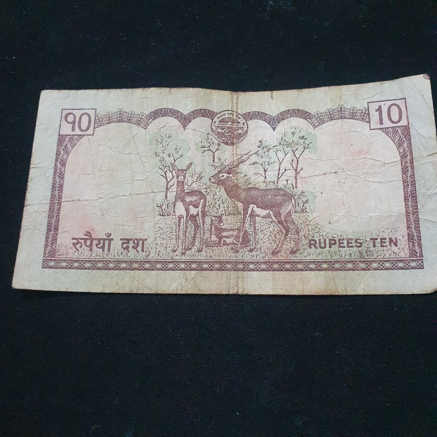10 Rupees  coin collectible - Main Image 2