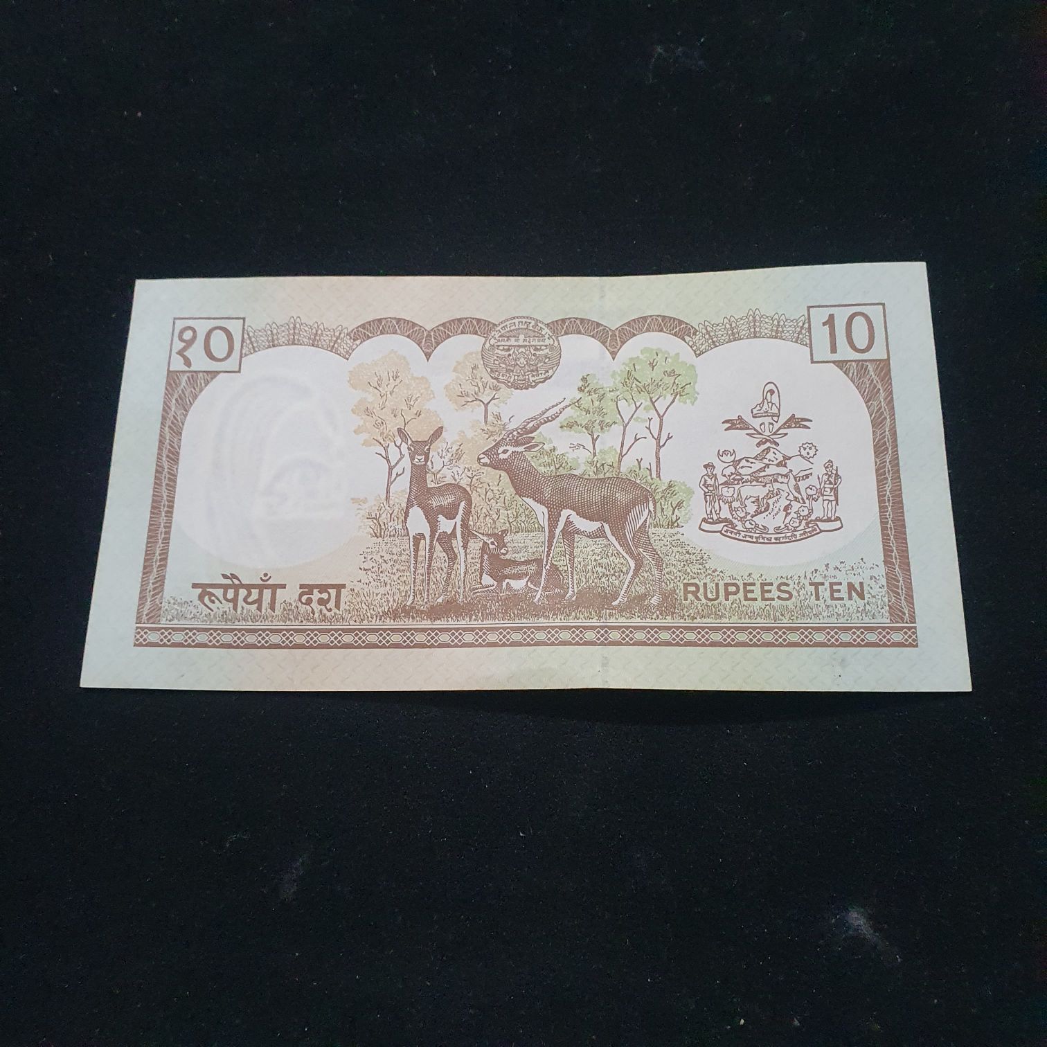 10 Rupees  coin collectible - Main Image 2