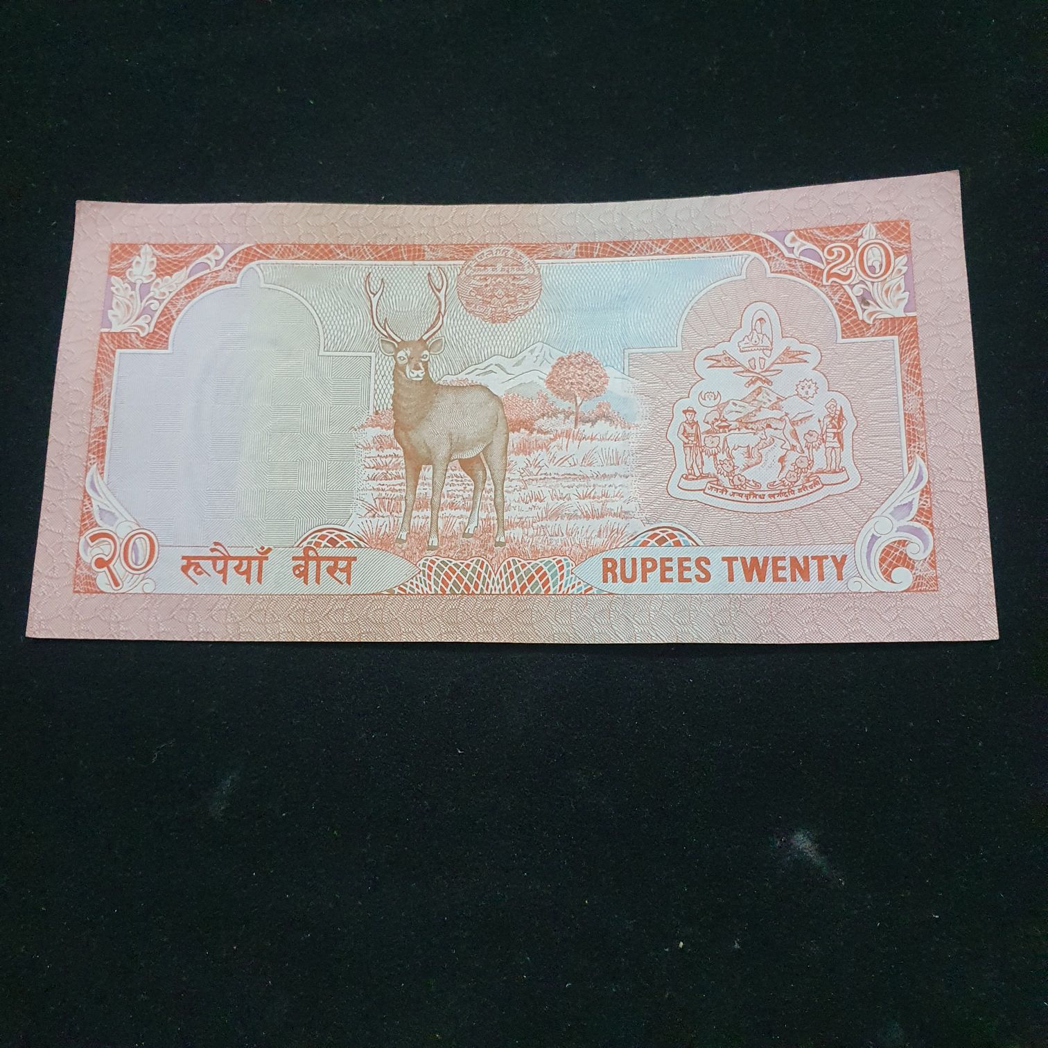 20 Rupees  coin collectible - Main Image 2