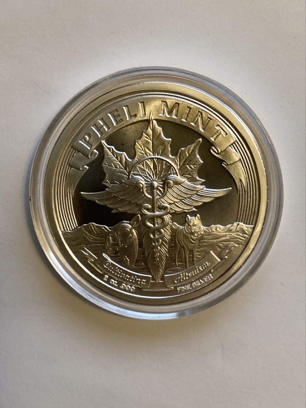 PM - Temptation of the Succubus coin collectible - Main Image 2