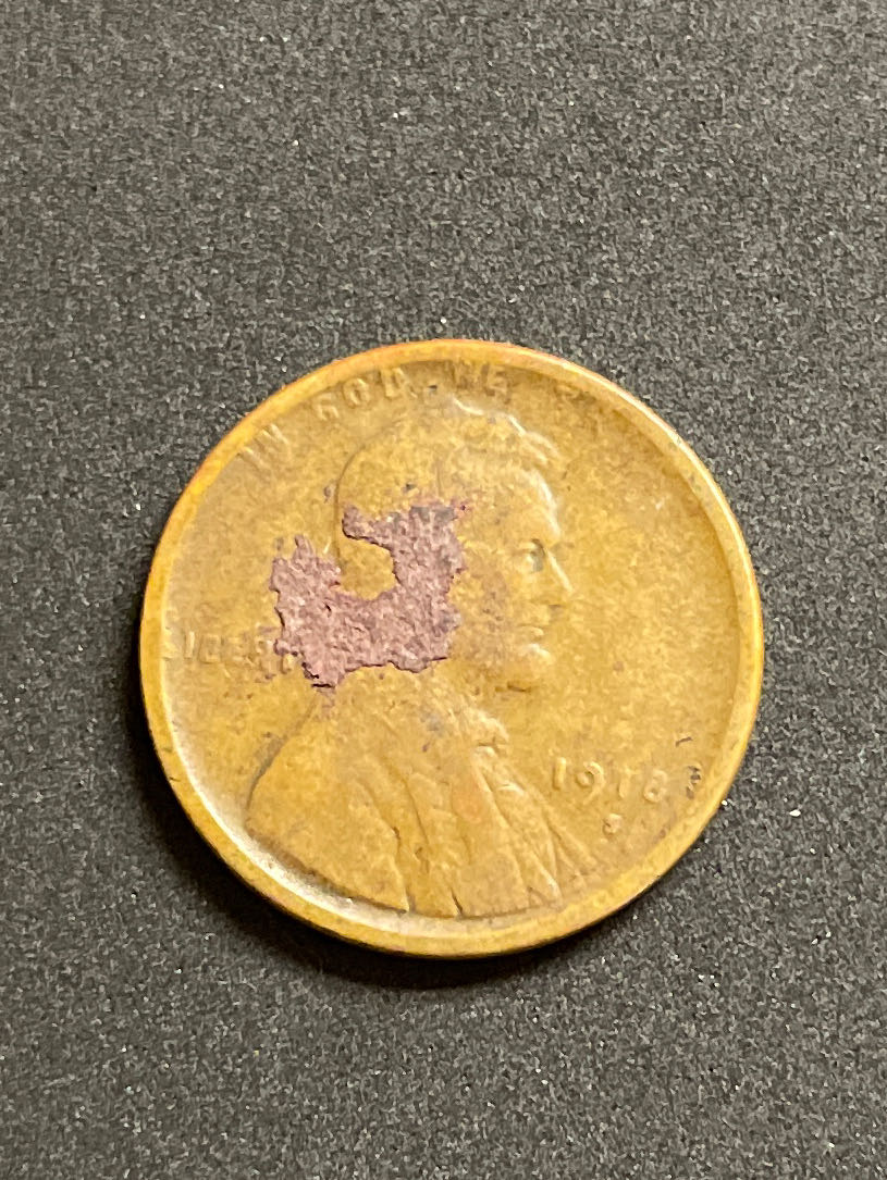 2017 Spécimen Set Snow Goose