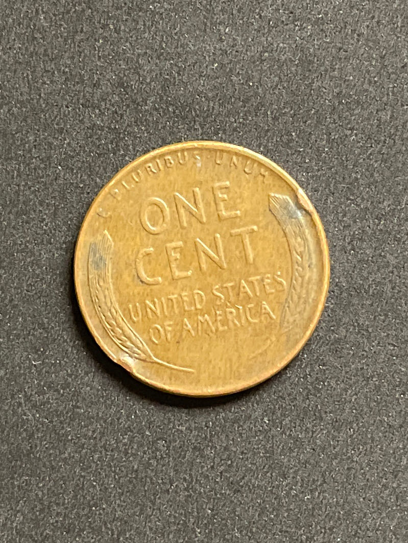 American Wheat Penny 1956 D  coin collectible - Main Image 2