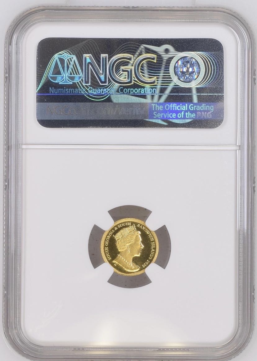 2020 Macaroni Penguin  coin collectible - Main Image 2