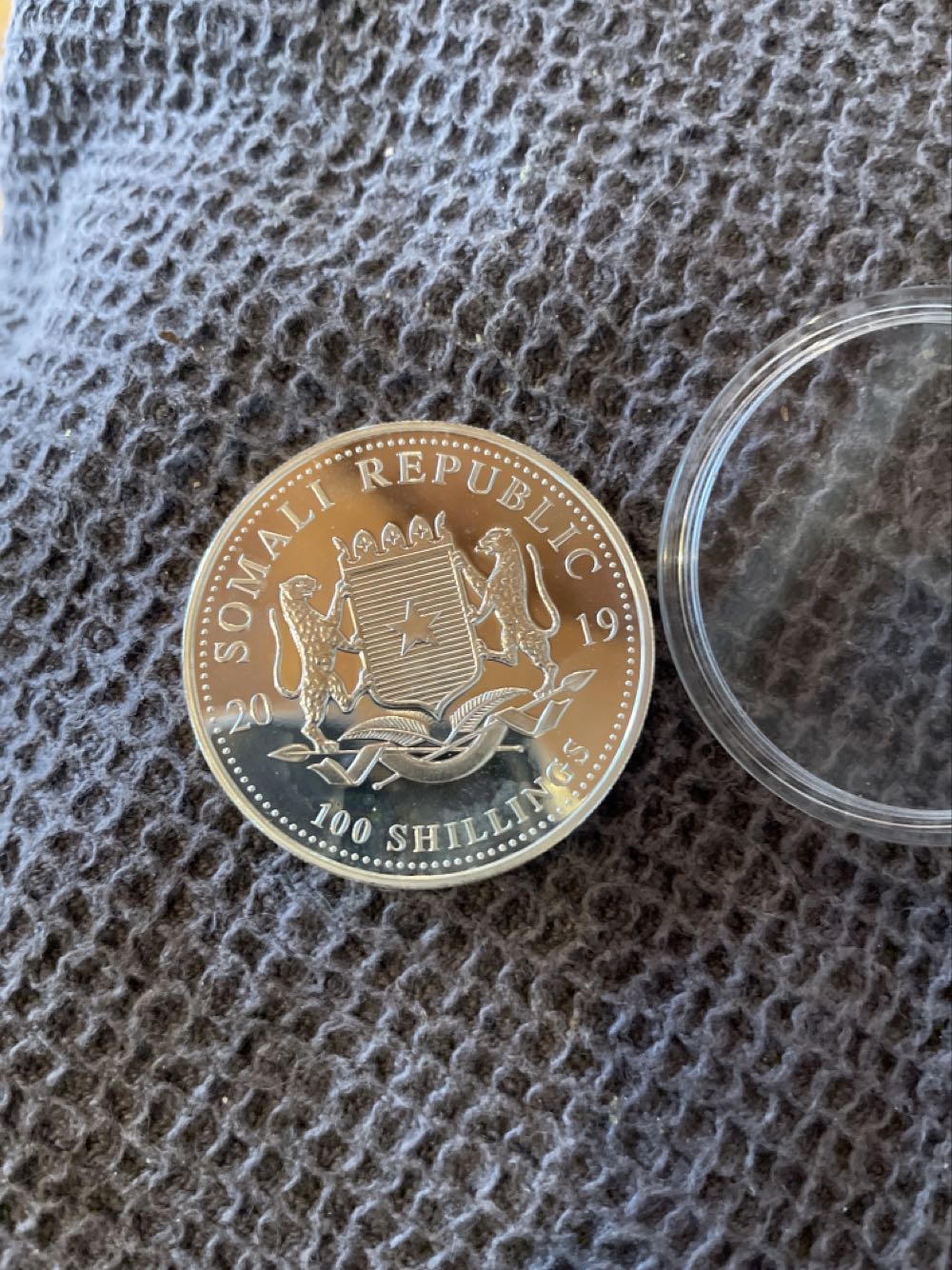 Somali Leopard  coin collectible - Main Image 2