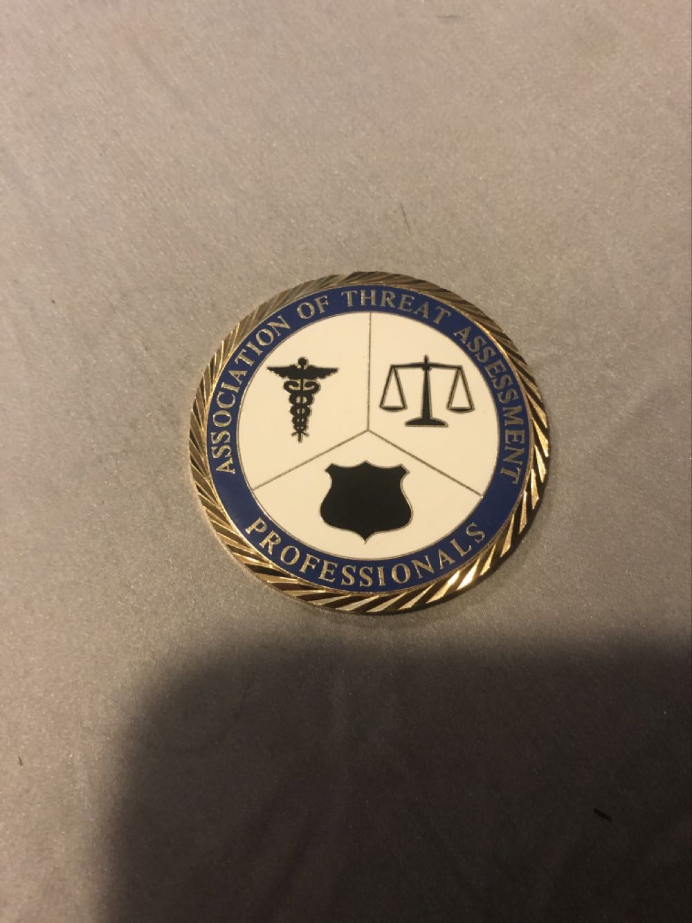 American Threat Assessment Program  coin collectible - Main Image 2