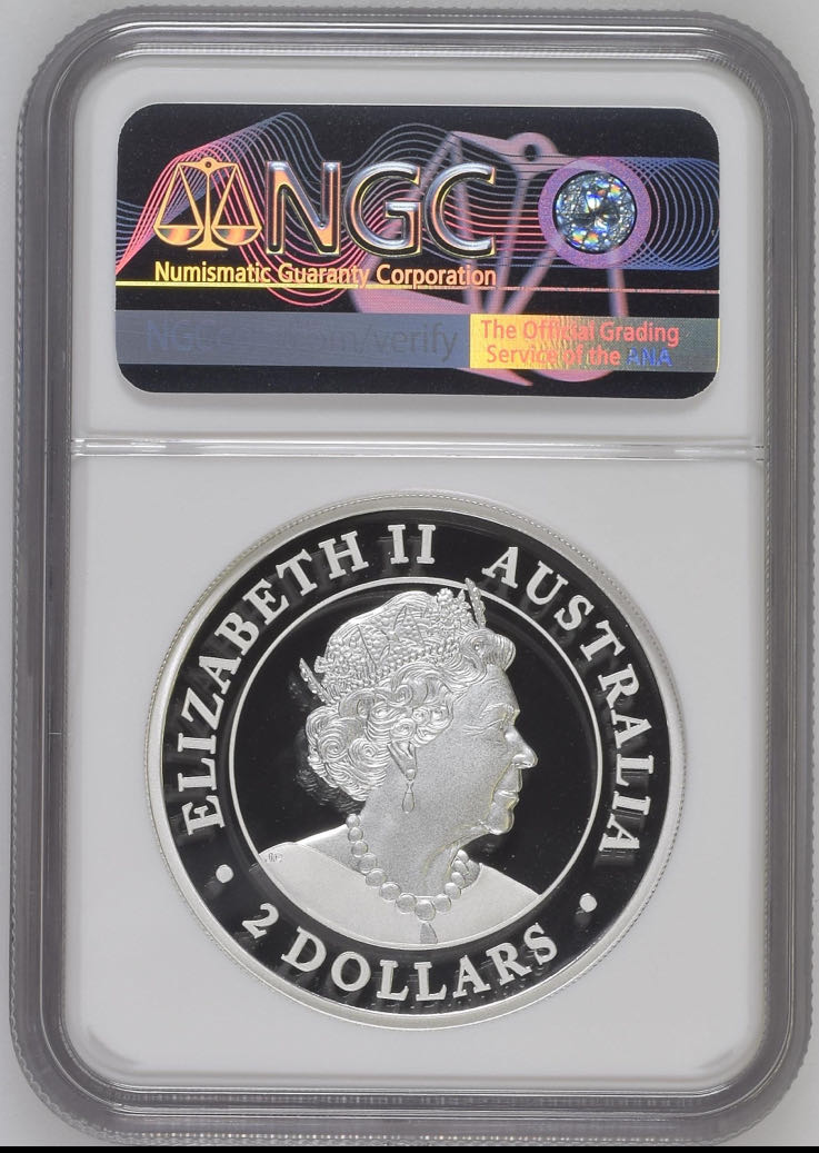 2020P Wedge-Tailed Eagle  coin collectible - Main Image 2