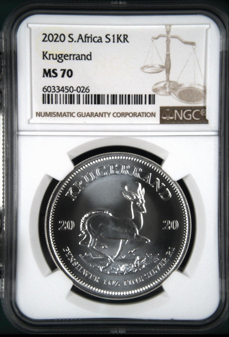 CBM - Ursus Arctos Gobiensis